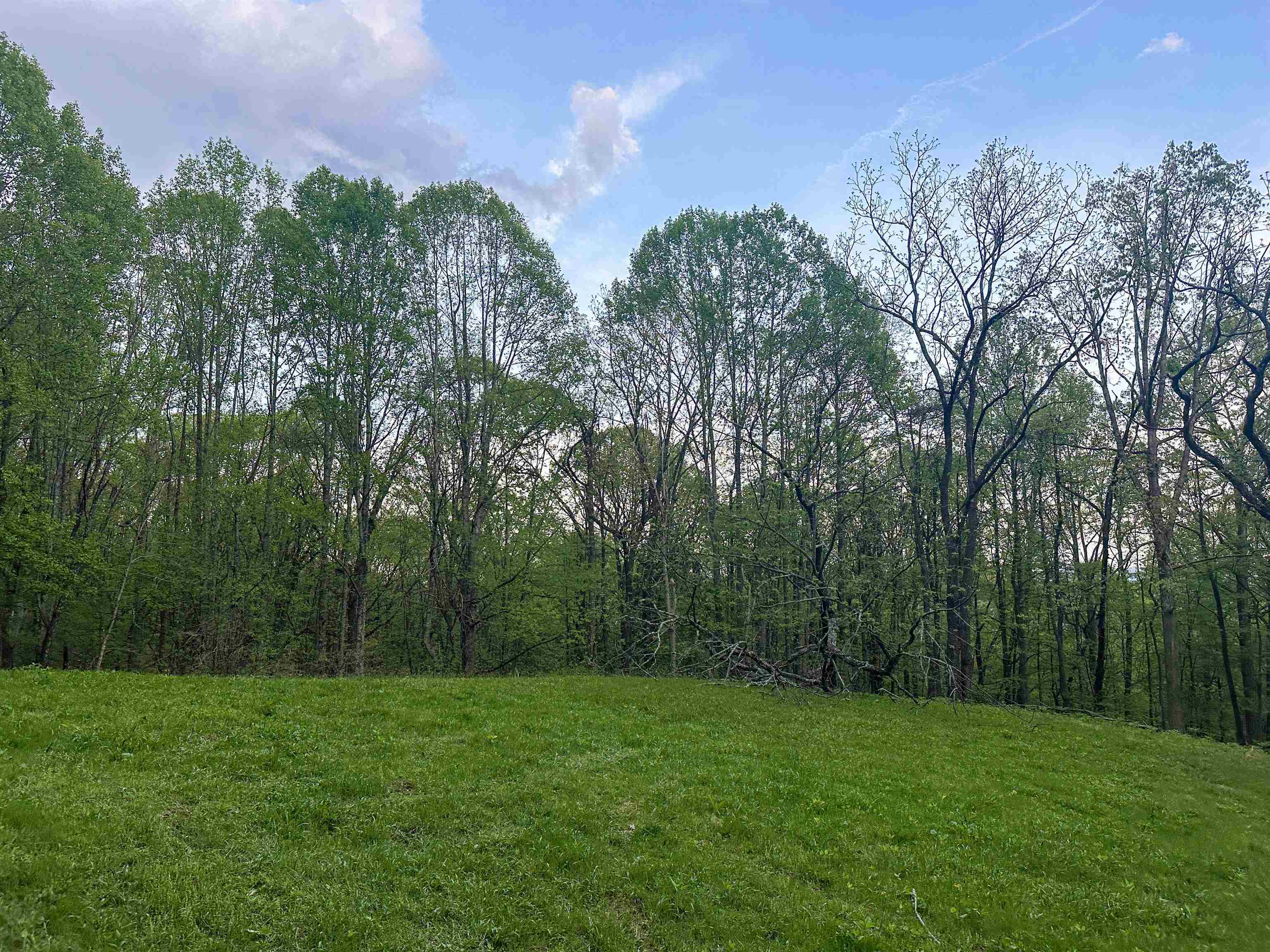 5813 SOUNDING KNOB RD, MCDOWELL, Virginia 24458, ,Farm,5813 SOUNDING KNOB RD,664391 MLS # 664391