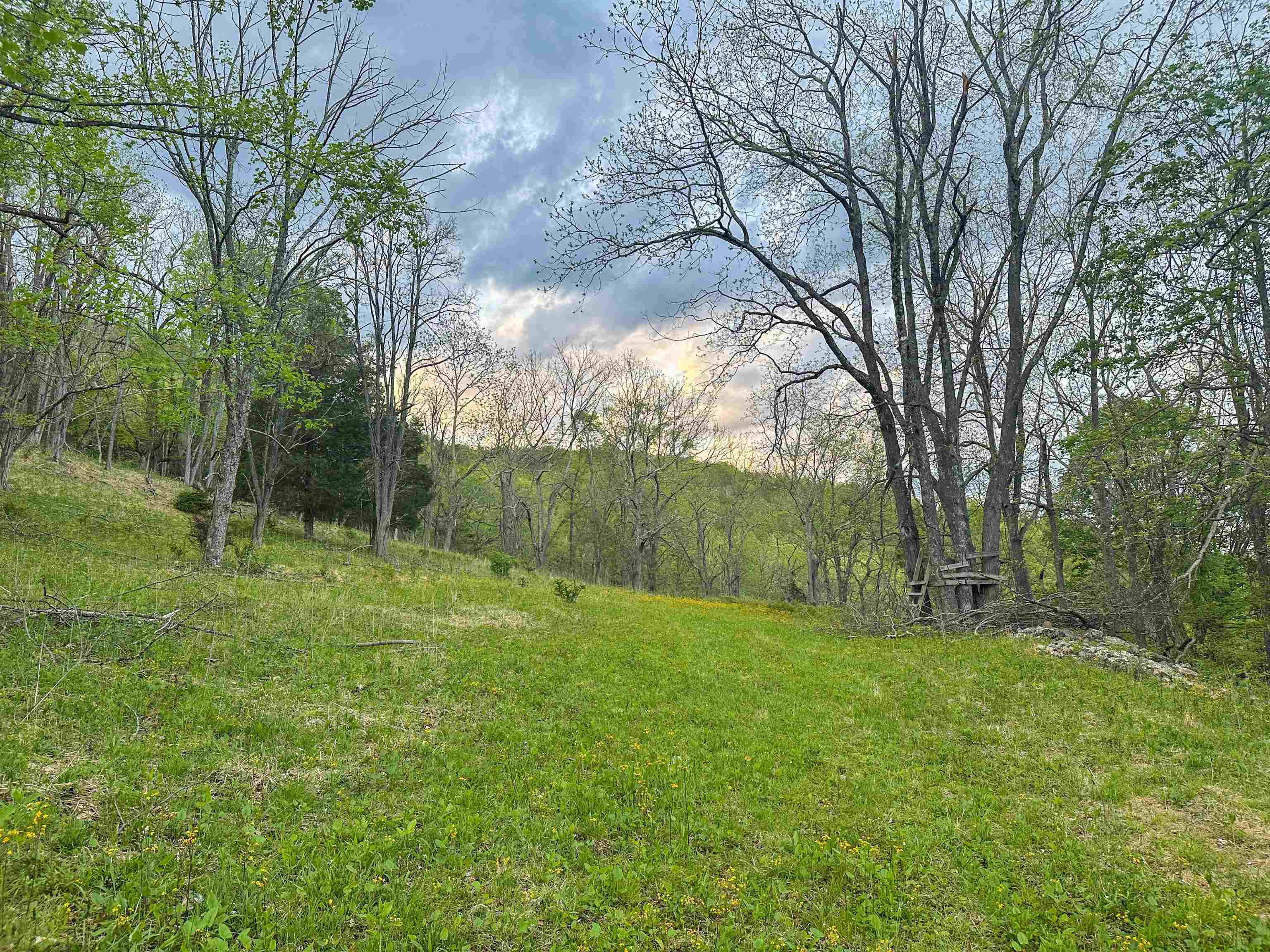 5813 SOUNDING KNOB RD, MCDOWELL, Virginia 24458, ,Farm,5813 SOUNDING KNOB RD,664391 MLS # 664391