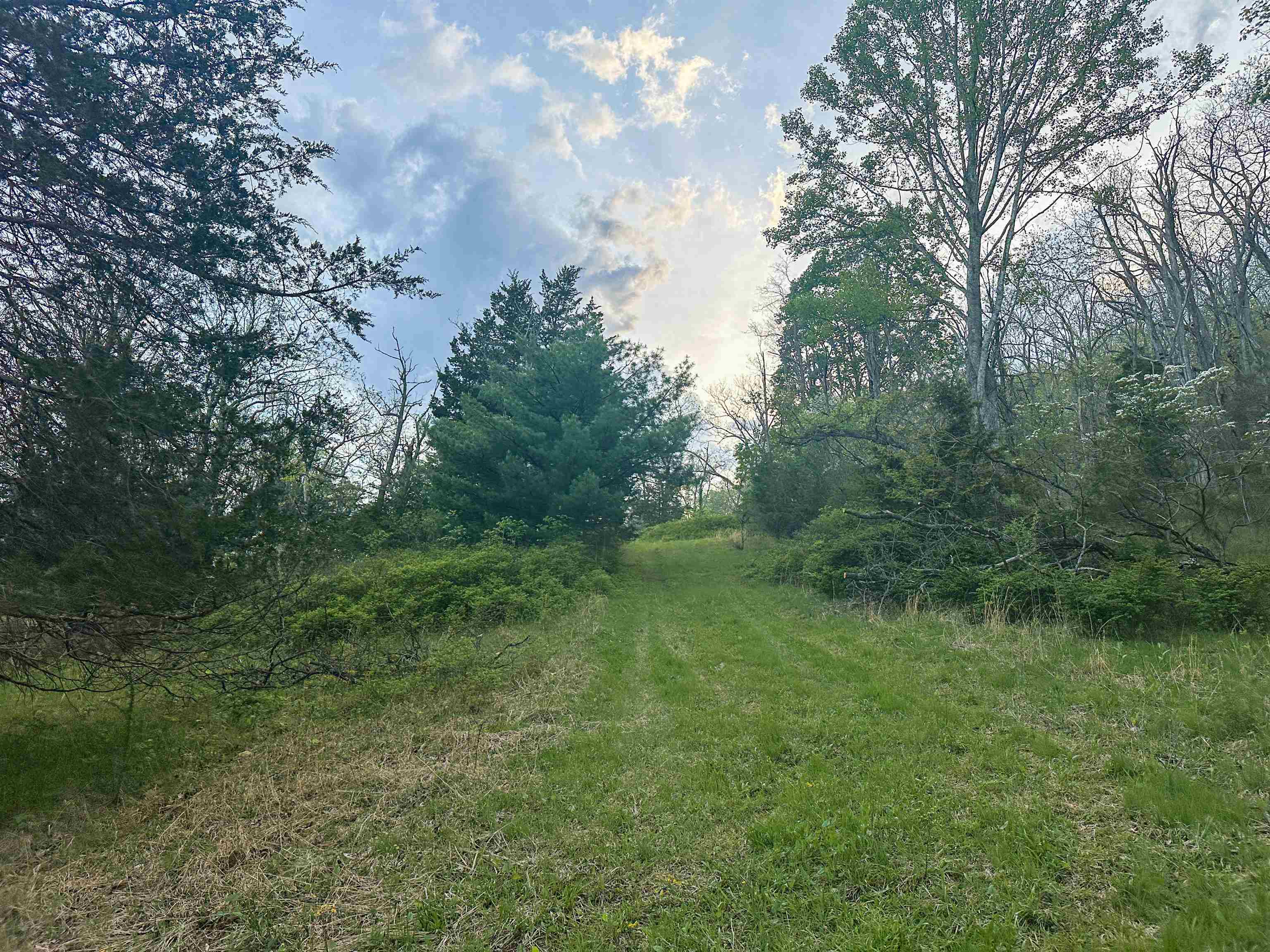 5813 SOUNDING KNOB RD, MCDOWELL, Virginia 24458, ,Farm,5813 SOUNDING KNOB RD,664391 MLS # 664391