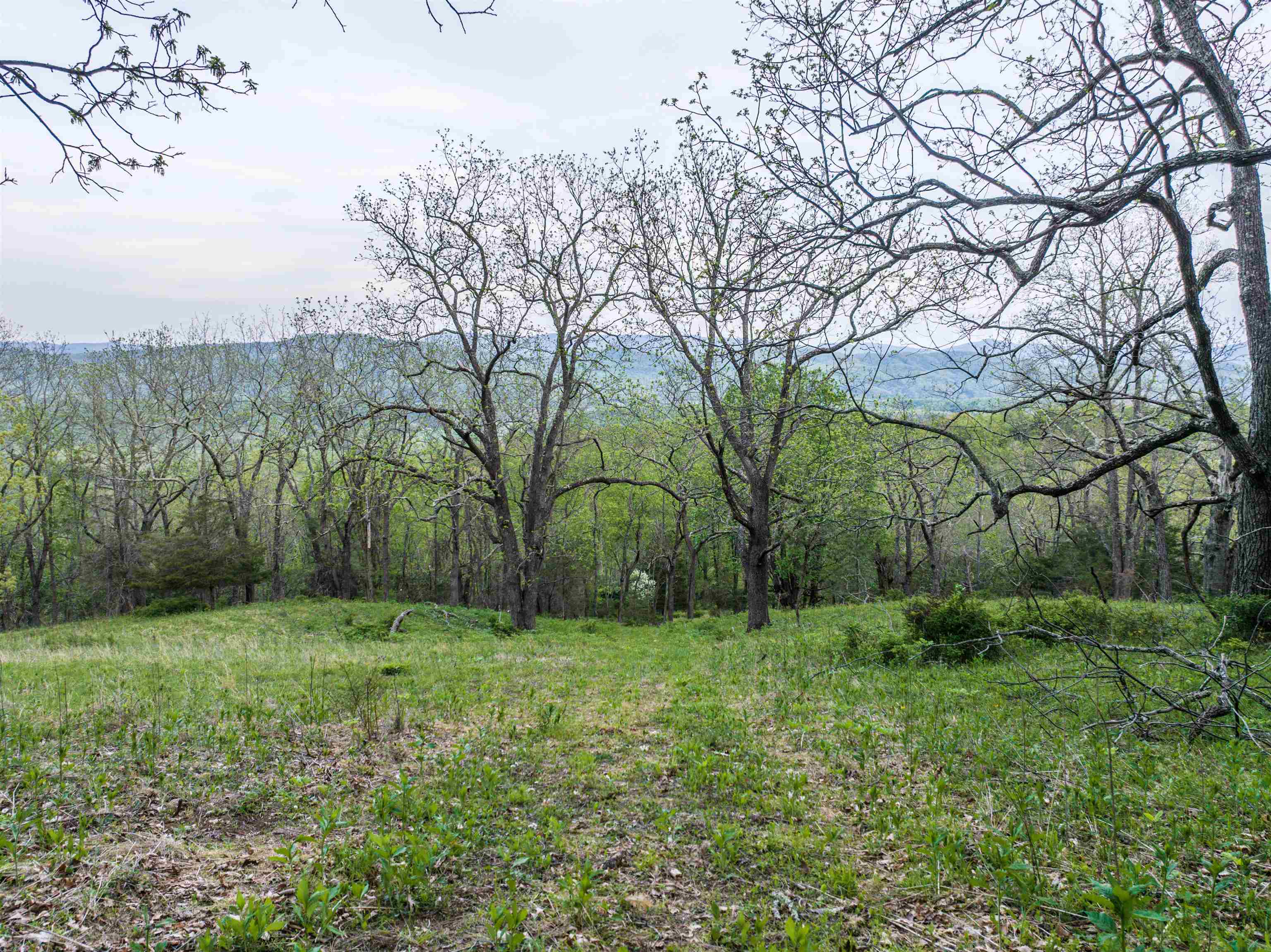 5813 SOUNDING KNOB RD, MCDOWELL, Virginia 24458, ,Farm,5813 SOUNDING KNOB RD,664391 MLS # 664391