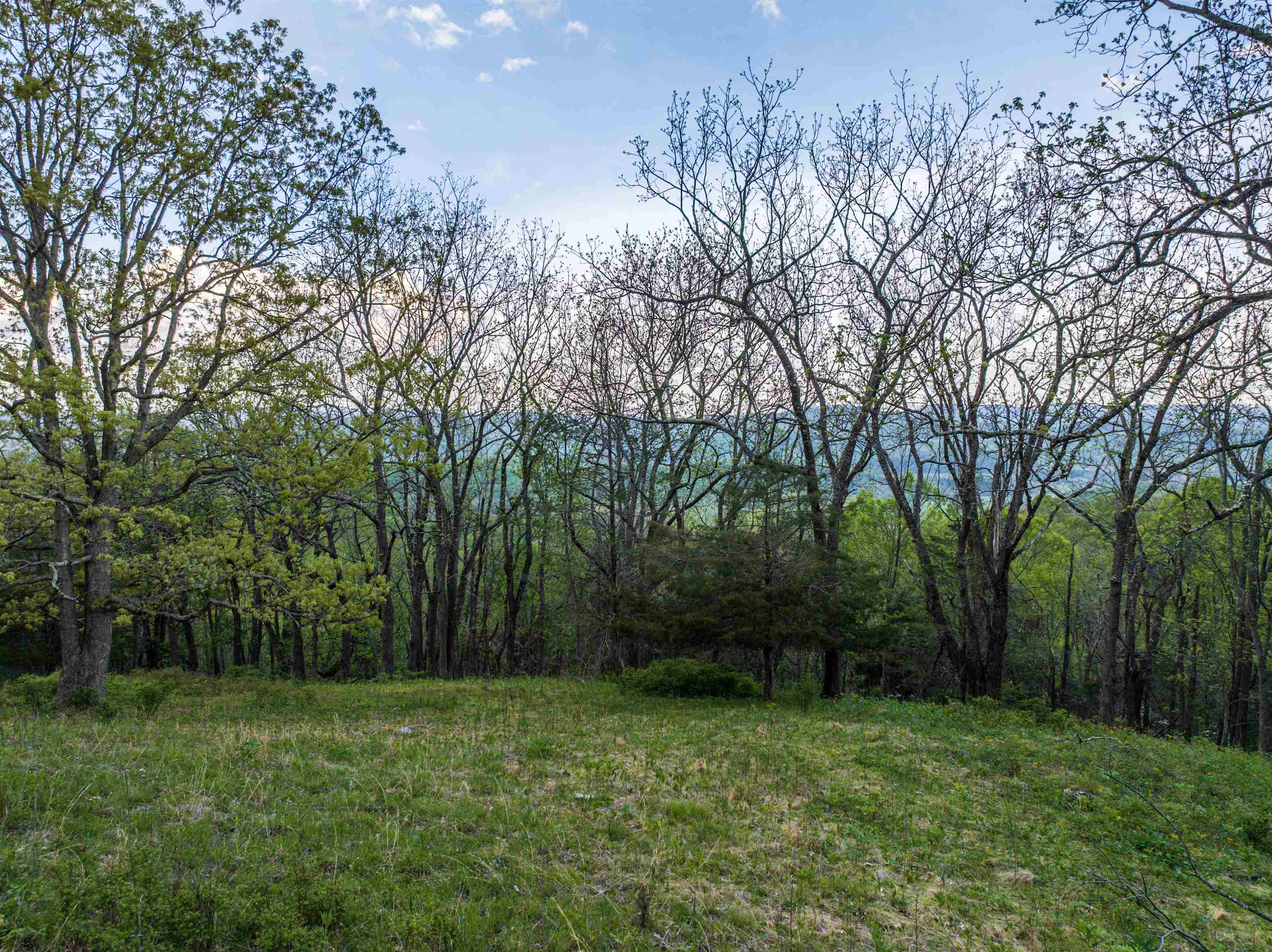 5813 SOUNDING KNOB RD, MCDOWELL, Virginia 24458, ,Farm,5813 SOUNDING KNOB RD,664391 MLS # 664391