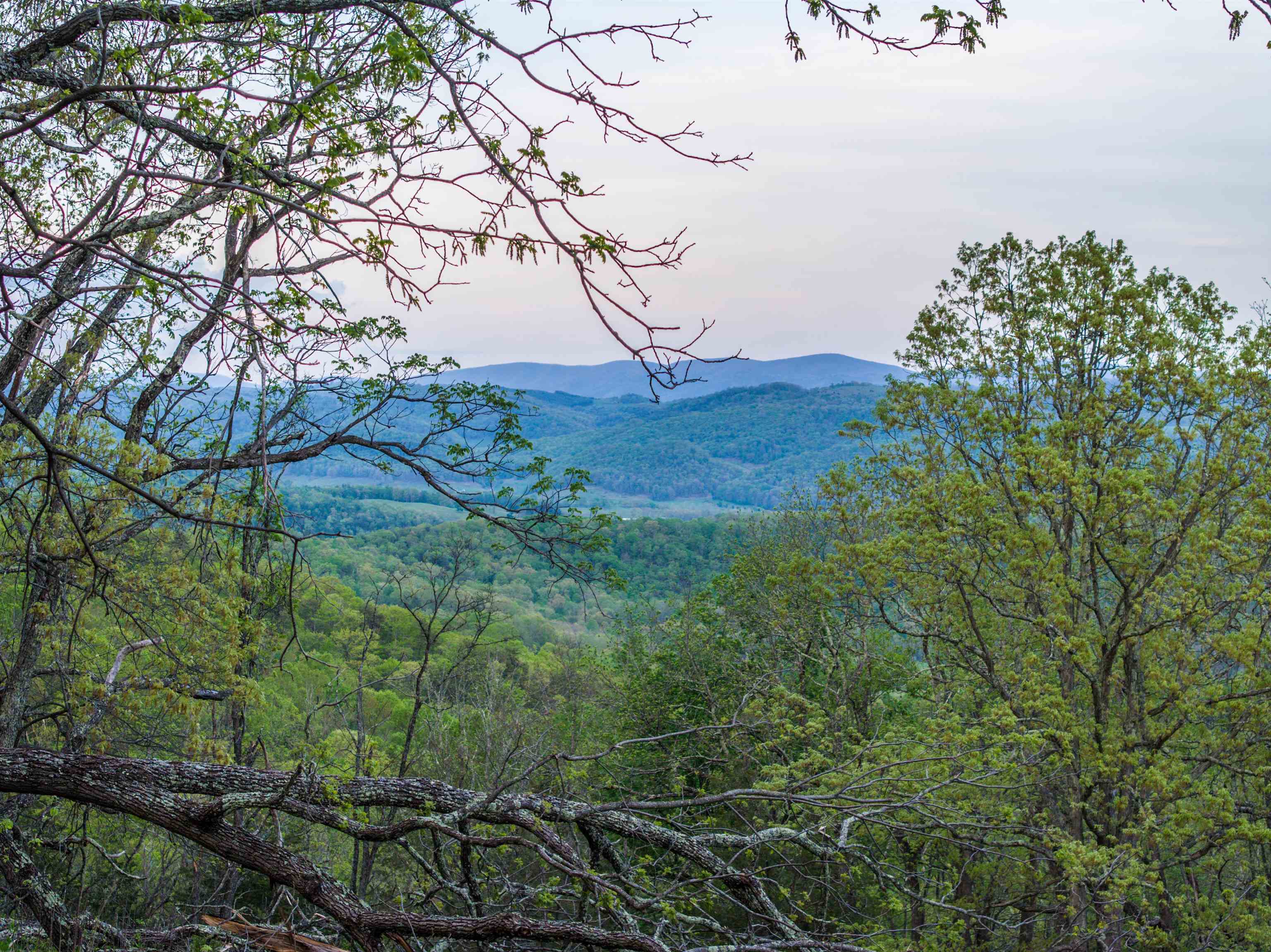 5813 SOUNDING KNOB RD, MCDOWELL, Virginia 24458, ,Farm,5813 SOUNDING KNOB RD,664391 MLS # 664391
