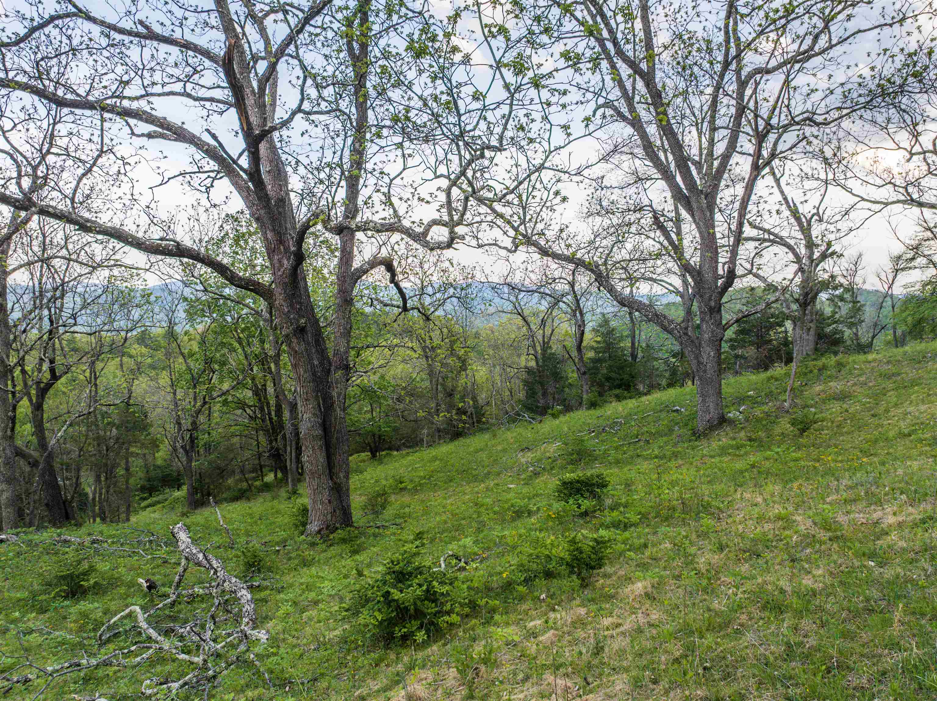 5813 SOUNDING KNOB RD, MCDOWELL, Virginia 24458, ,Farm,5813 SOUNDING KNOB RD,664391 MLS # 664391