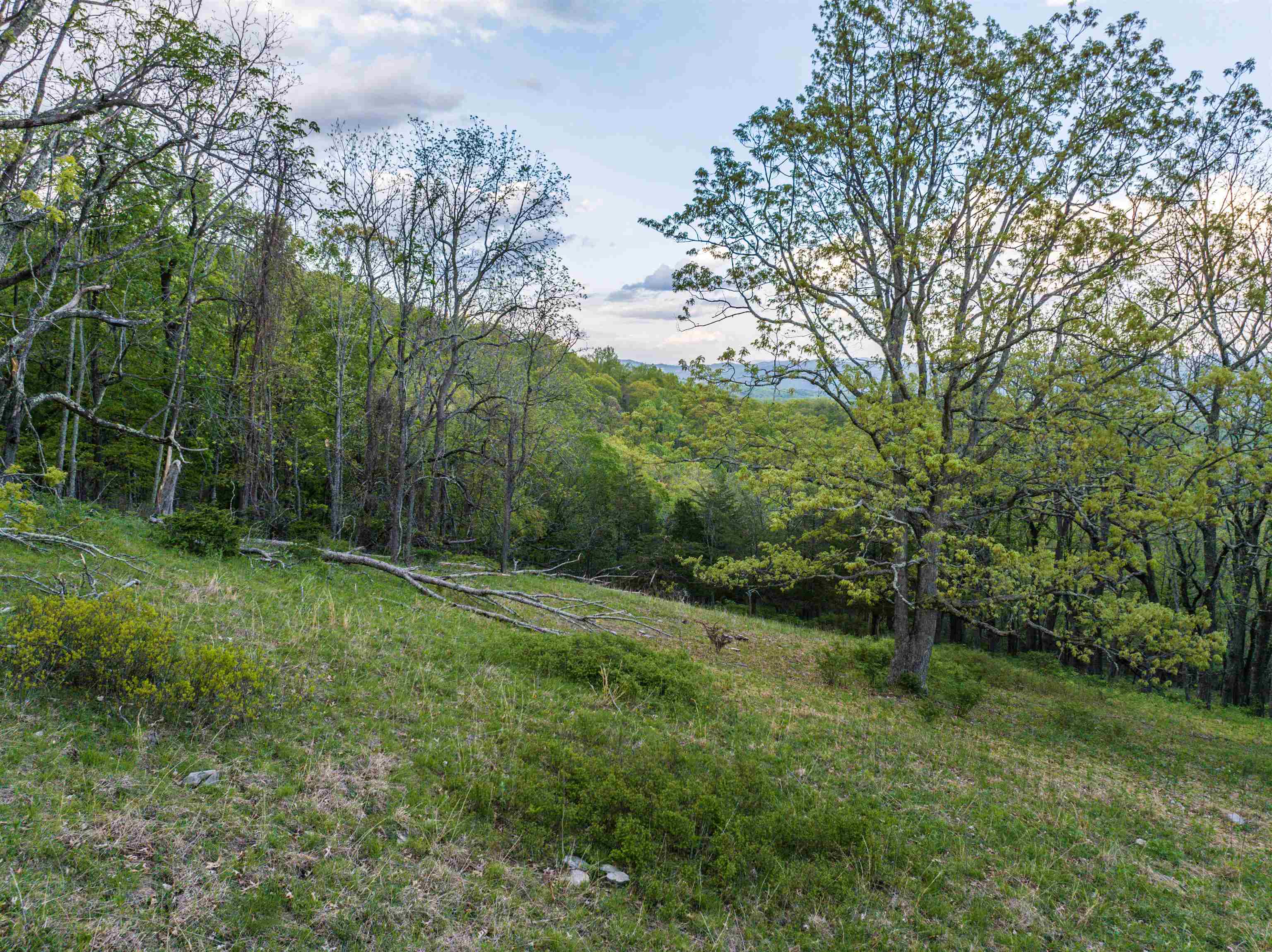 5813 SOUNDING KNOB RD, MCDOWELL, Virginia 24458, ,Farm,5813 SOUNDING KNOB RD,664391 MLS # 664391