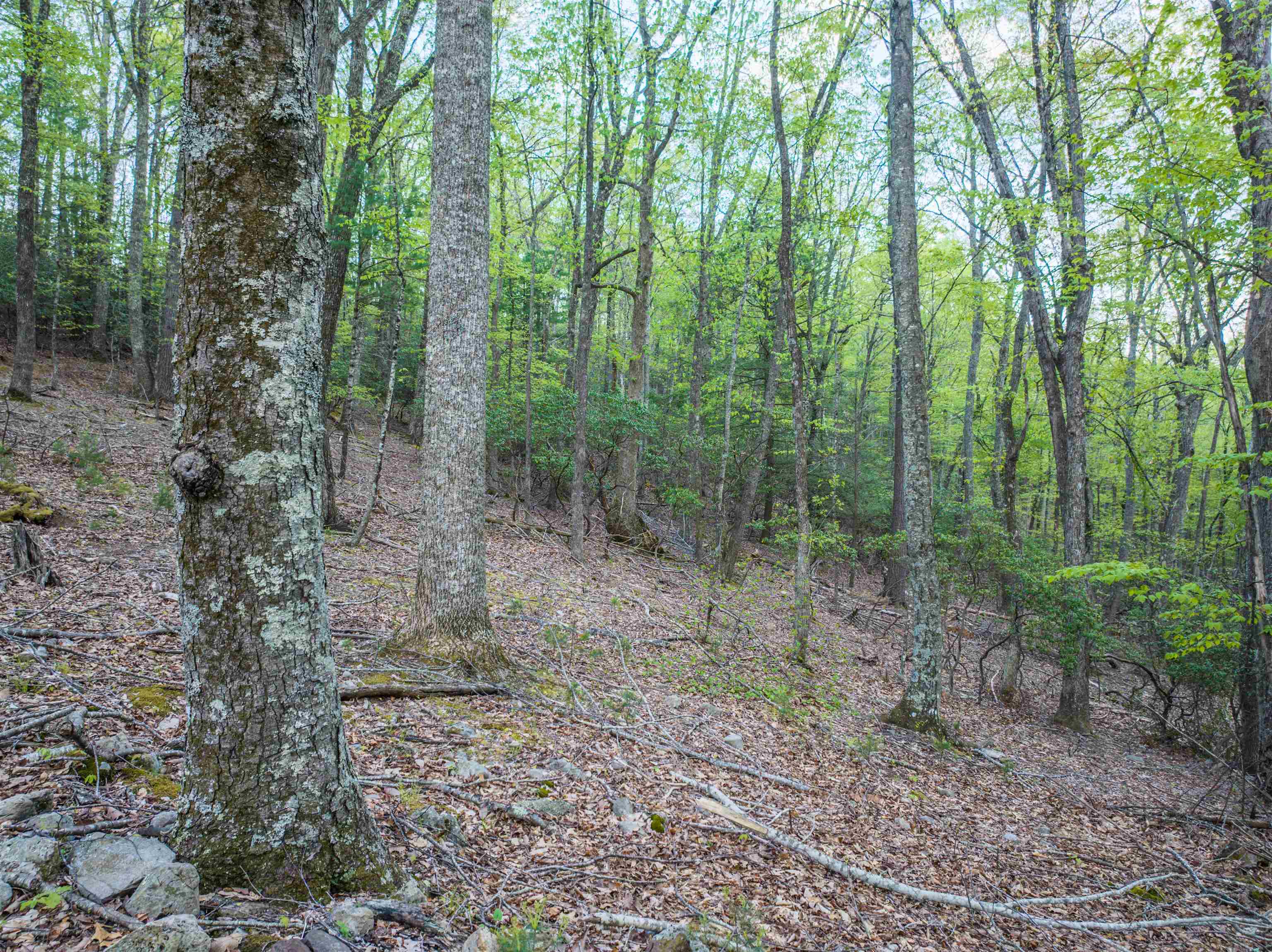 5813 SOUNDING KNOB RD, MCDOWELL, Virginia 24458, ,Farm,5813 SOUNDING KNOB RD,664391 MLS # 664391