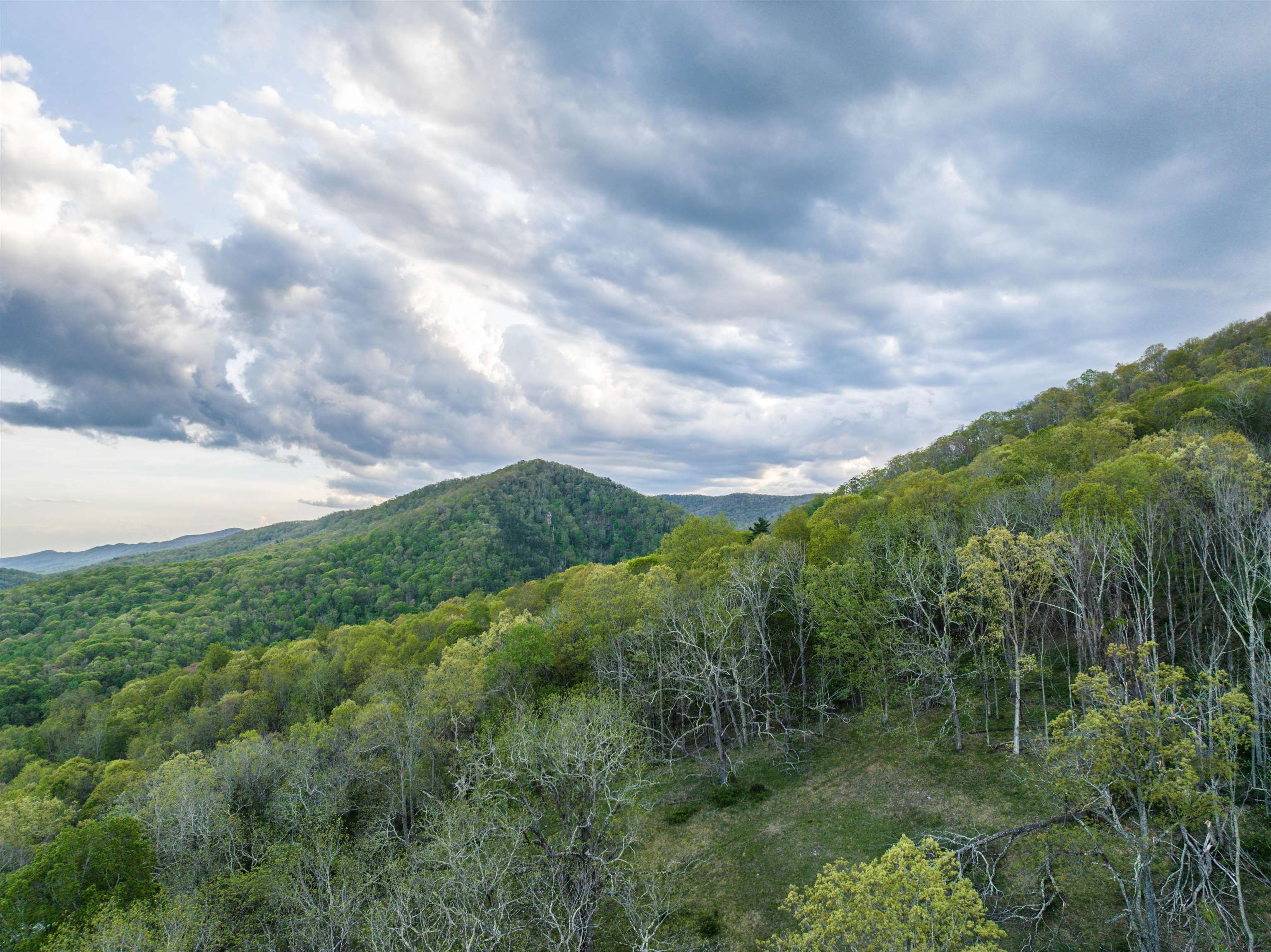 5813 SOUNDING KNOB RD, MCDOWELL, Virginia 24458, ,Farm,5813 SOUNDING KNOB RD,664391 MLS # 664391
