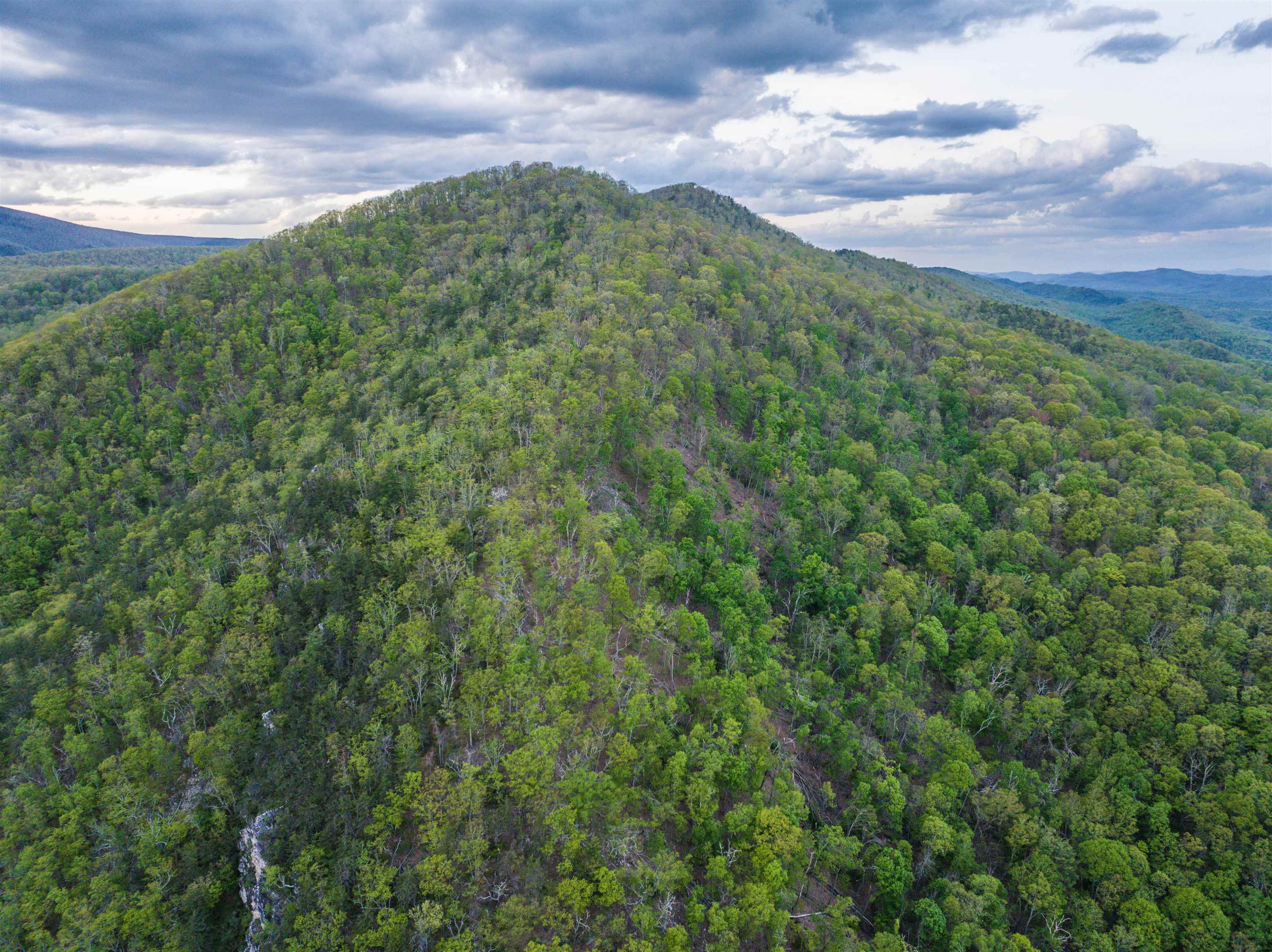 5813 SOUNDING KNOB RD, MCDOWELL, Virginia 24458, ,Farm,5813 SOUNDING KNOB RD,664391 MLS # 664391