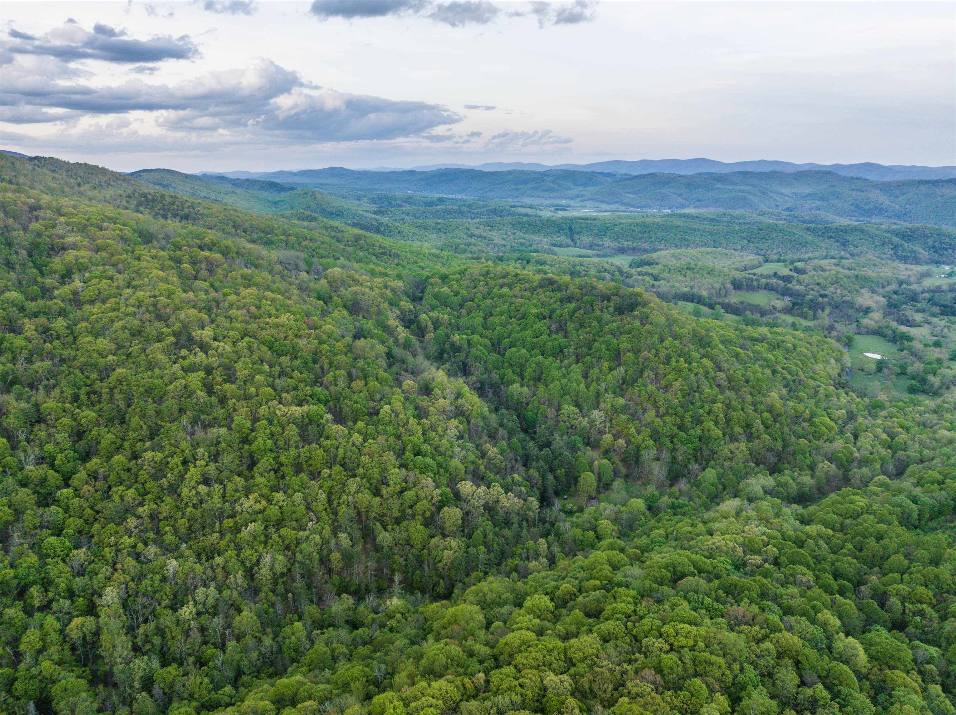 5813 SOUNDING KNOB RD, MCDOWELL, Virginia 24458, ,Farm,5813 SOUNDING KNOB RD,664391 MLS # 664391