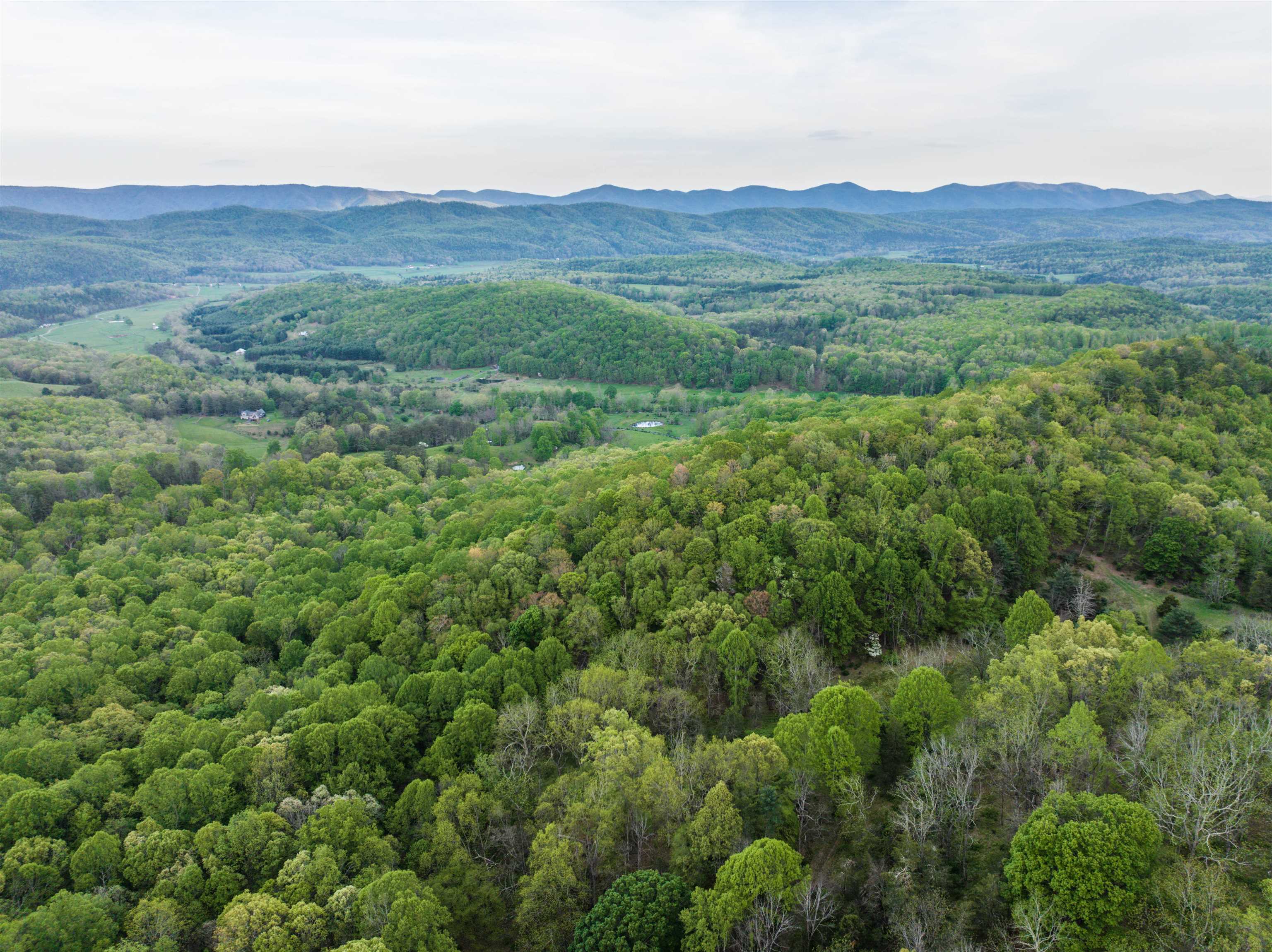 5813 SOUNDING KNOB RD, MCDOWELL, Virginia 24458, ,Farm,5813 SOUNDING KNOB RD,664391 MLS # 664391