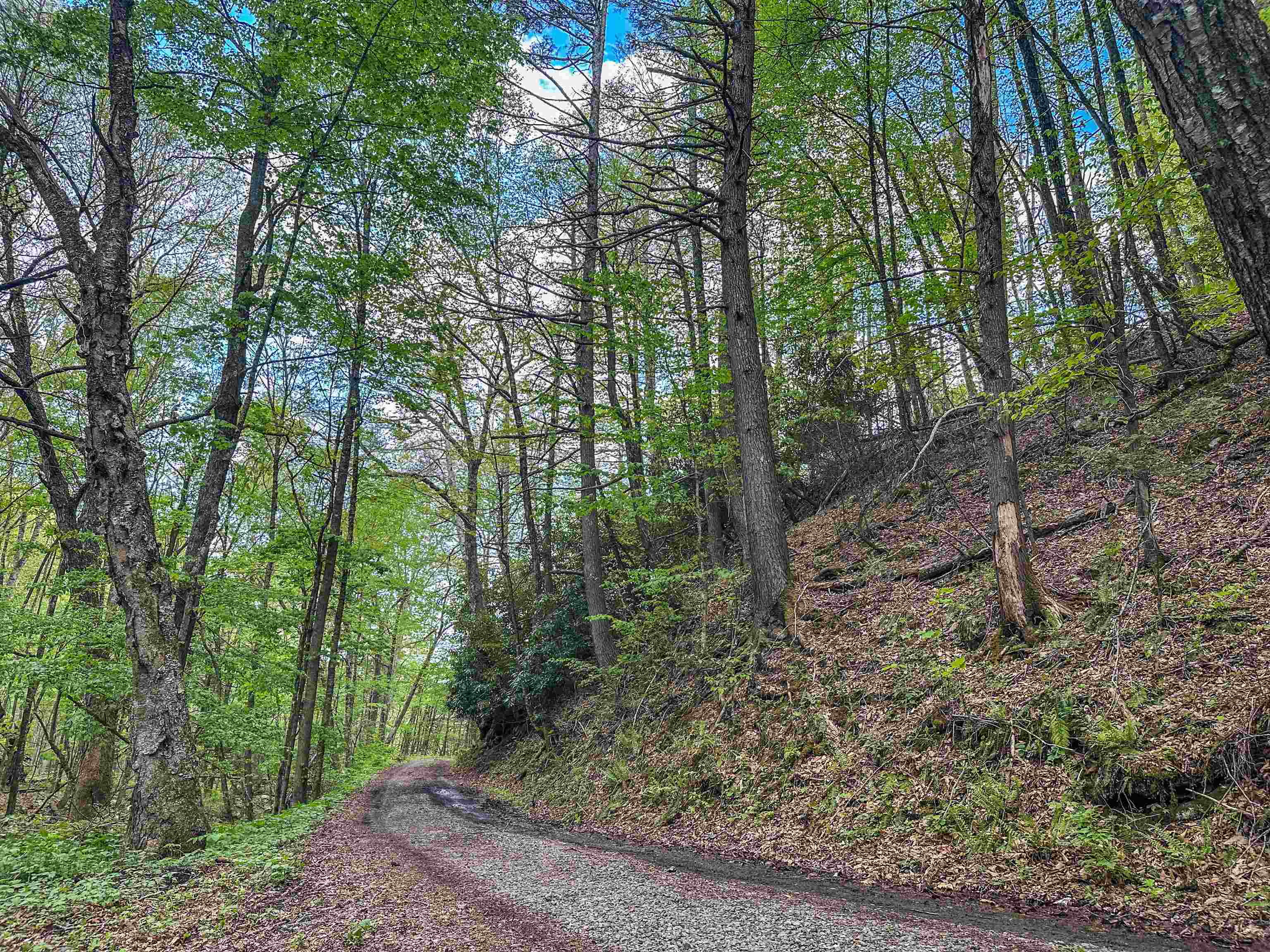 5813 SOUNDING KNOB RD, MCDOWELL, Virginia 24458, ,Farm,5813 SOUNDING KNOB RD,664391 MLS # 664391