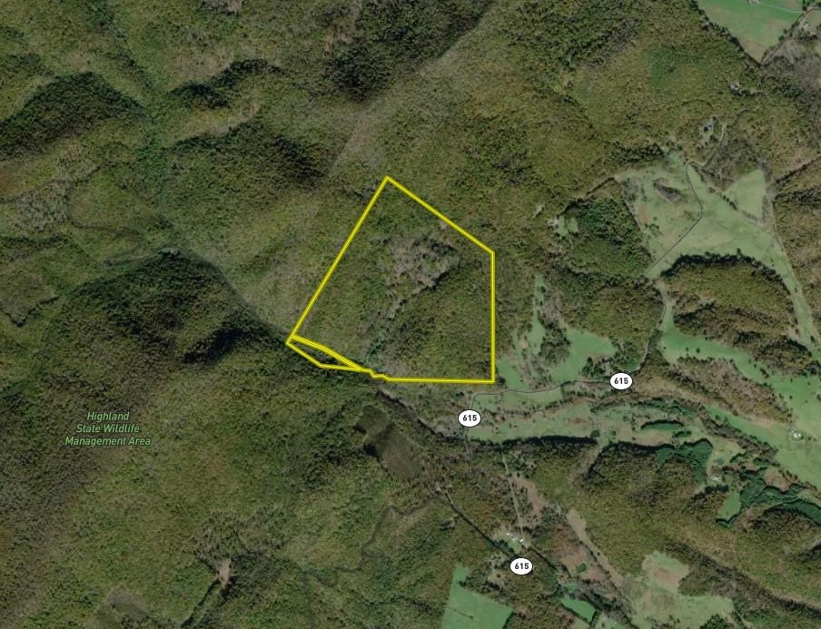 5813 SOUNDING KNOB RD, MCDOWELL, Virginia 24458, ,Farm,5813 SOUNDING KNOB RD,664391 MLS # 664391