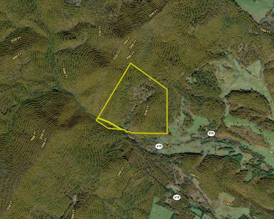 5813 SOUNDING KNOB RD, MCDOWELL, Virginia 24458, ,Farm,5813 SOUNDING KNOB RD,664391 MLS # 664391
