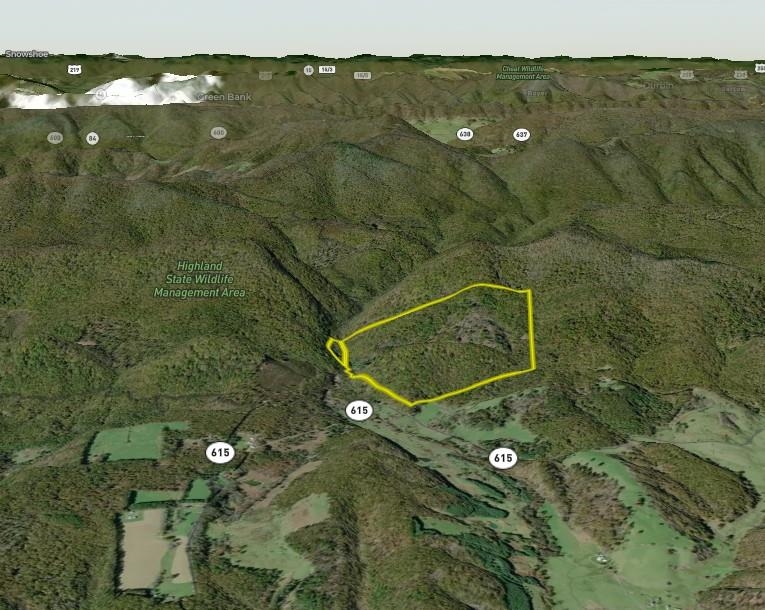 5813 SOUNDING KNOB RD, MCDOWELL, Virginia 24458, ,Farm,5813 SOUNDING KNOB RD,664391 MLS # 664391