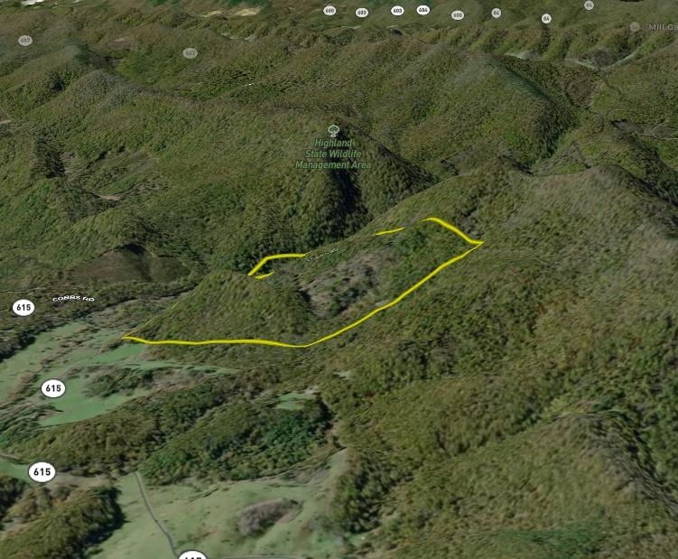 5813 SOUNDING KNOB RD, MCDOWELL, Virginia 24458, ,Farm,5813 SOUNDING KNOB RD,664391 MLS # 664391
