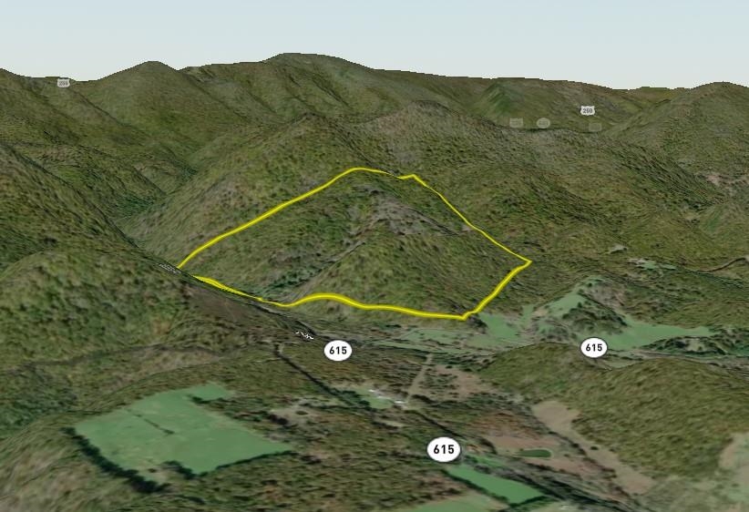 5813 SOUNDING KNOB RD, MCDOWELL, Virginia 24458, ,Farm,5813 SOUNDING KNOB RD,664391 MLS # 664391