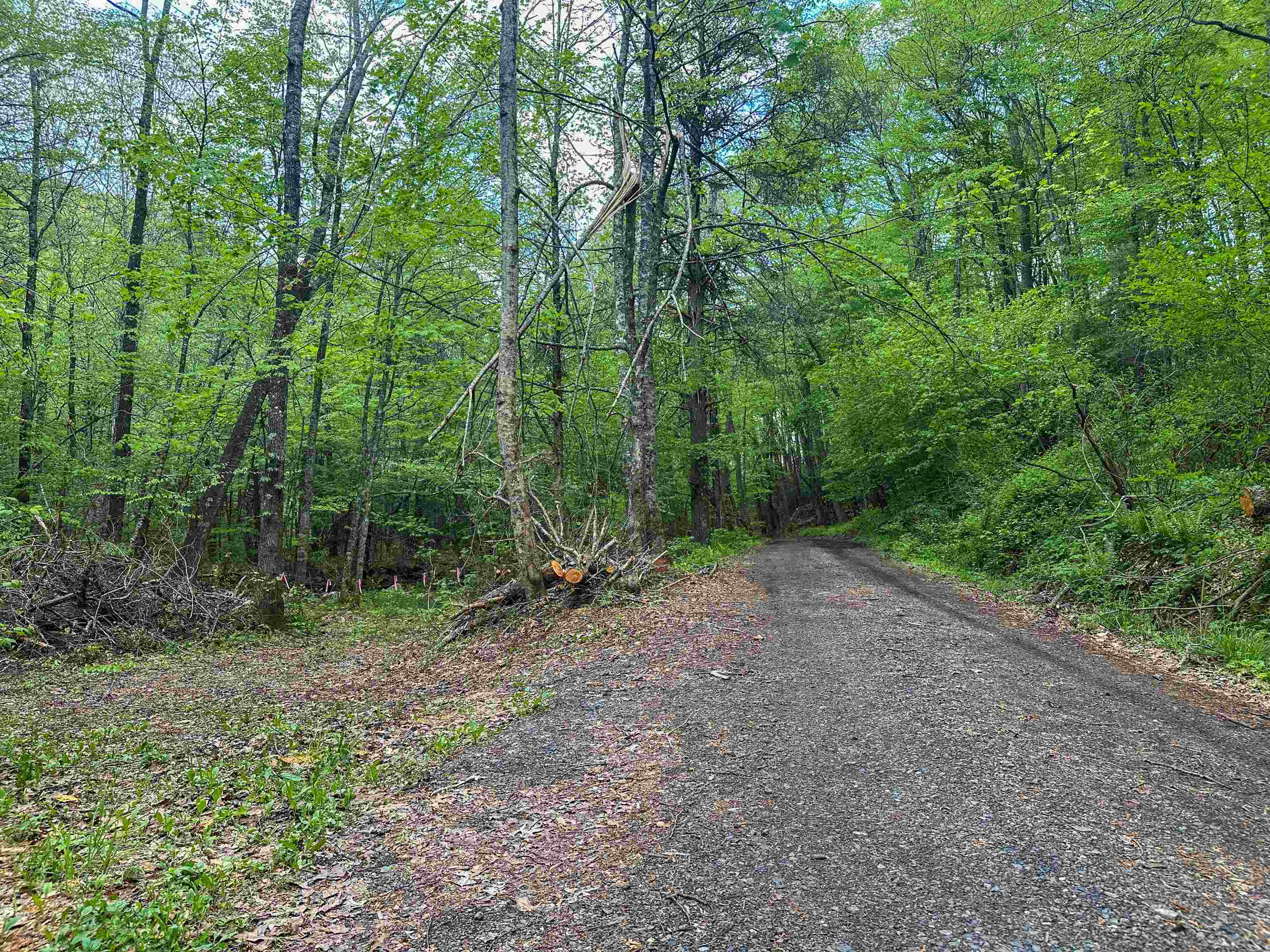 5813 SOUNDING KNOB RD, MCDOWELL, Virginia 24458, ,Farm,5813 SOUNDING KNOB RD,664391 MLS # 664391