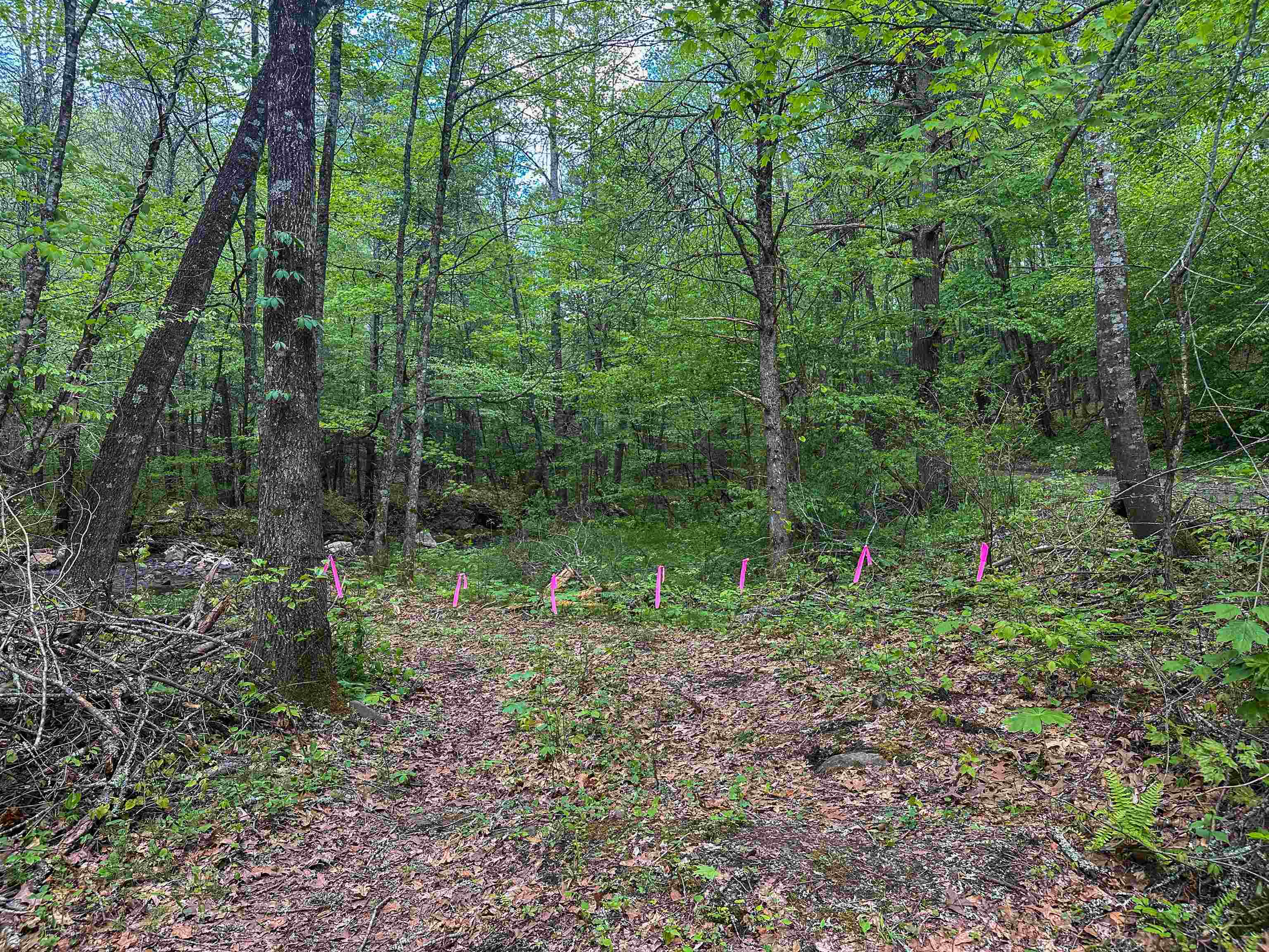 5813 SOUNDING KNOB RD, MCDOWELL, Virginia 24458, ,Farm,5813 SOUNDING KNOB RD,664391 MLS # 664391