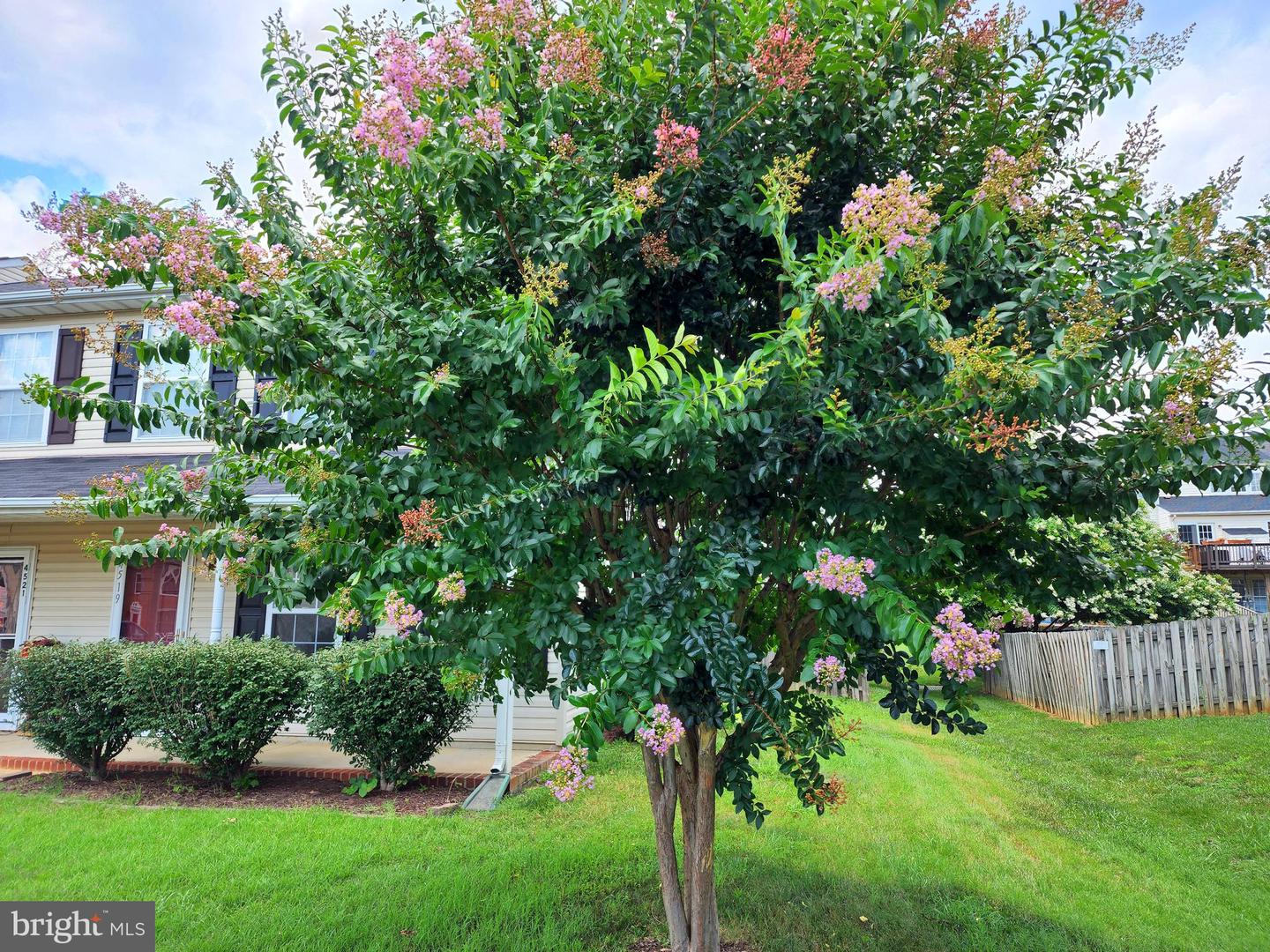 4519 LEIGHANN LN, FREDERICKSBURG, Virginia 22408, 3 Bedrooms Bedrooms, 17 Rooms Rooms,1 BathroomBathrooms,Residential,For sale,4519 LEIGHANN LN,VASP2030936 MLS # VASP2030936