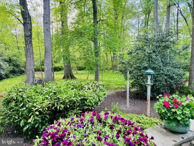 3204 BARBARA LN, FAIRFAX, Virginia 22031, 5 Bedrooms Bedrooms, ,3 BathroomsBathrooms,Residential,For sale,3204 BARBARA LN,VAFX2227568 MLS # VAFX2227568