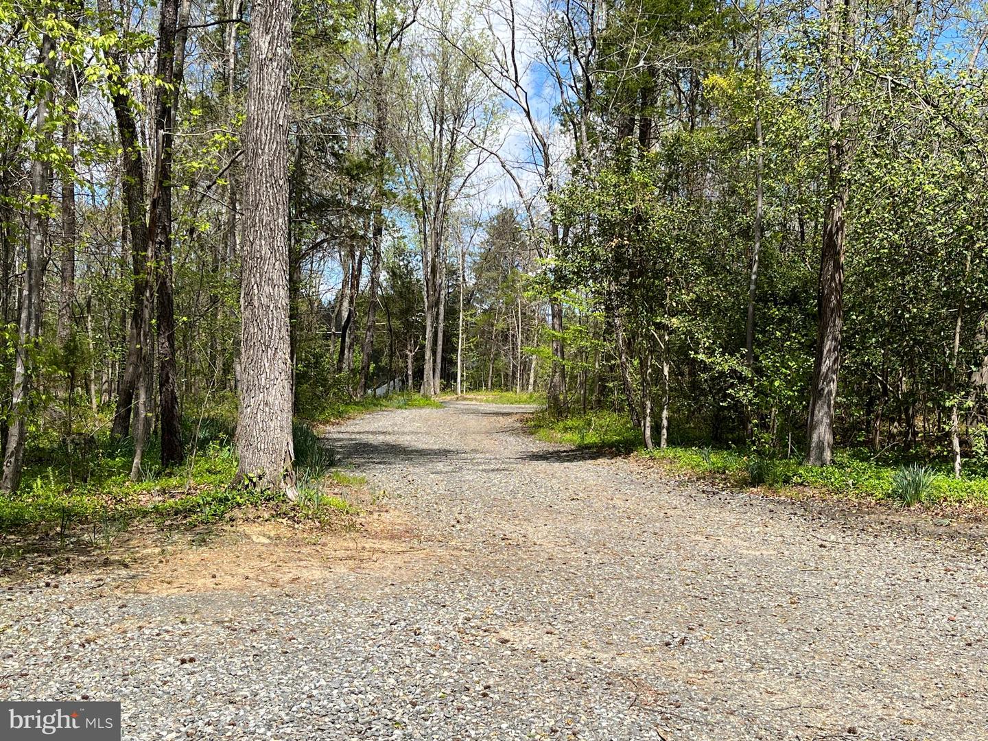 7102 CEDON RD, WOODFORD, Virginia 22580, 3 Bedrooms Bedrooms, ,2 BathroomsBathrooms,Residential,For sale,7102 CEDON RD,VACV2008000 MLS # VACV2008000