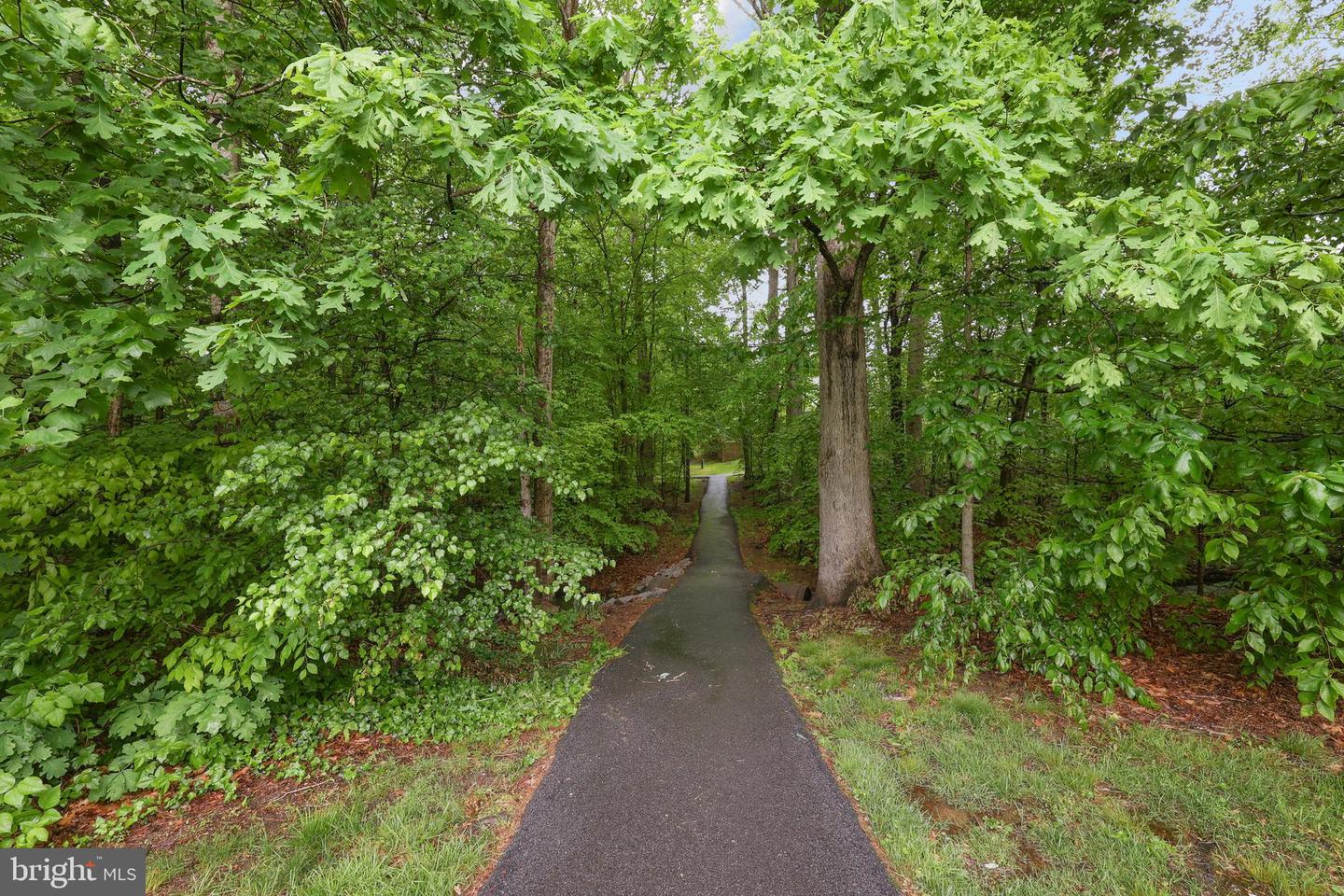 8140 WILLOWDALE CT, SPRINGFIELD, Virginia 22153, 3 Bedrooms Bedrooms, ,1 BathroomBathrooms,Residential,For sale,8140 WILLOWDALE CT,VAFX2238262 MLS # VAFX2238262