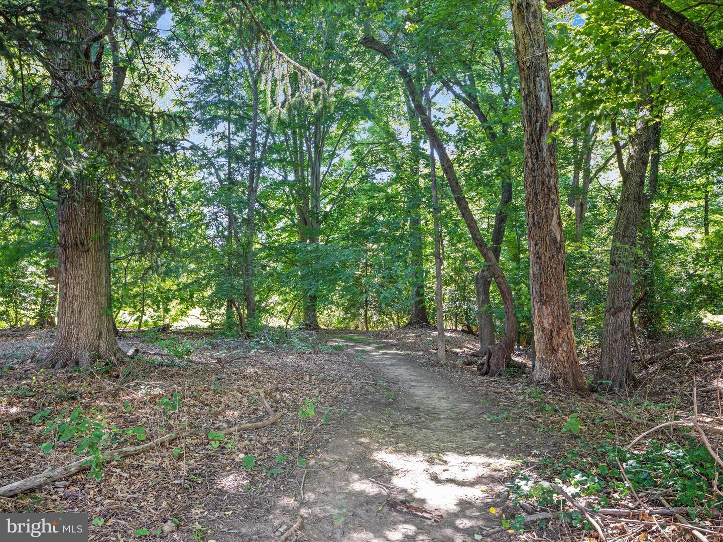 4041 41ST ST N, MCLEAN, Virginia 22101, 5 Bedrooms Bedrooms, ,3 BathroomsBathrooms,Residential,For sale,4041 41ST ST N,VAFX2238536 MLS # VAFX2238536