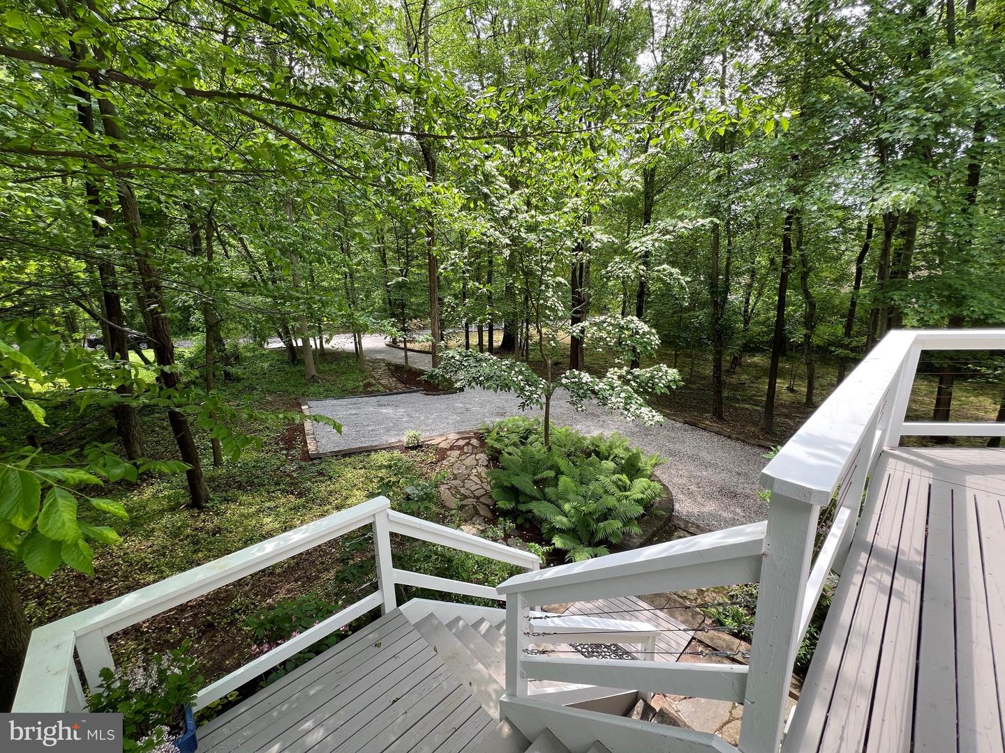 8122 STACEY RD, ALEXANDRIA, Virginia 22308, 5 Bedrooms Bedrooms, ,4 BathroomsBathrooms,Residential,For sale,8122 STACEY RD,VAFX2238430 MLS # VAFX2238430