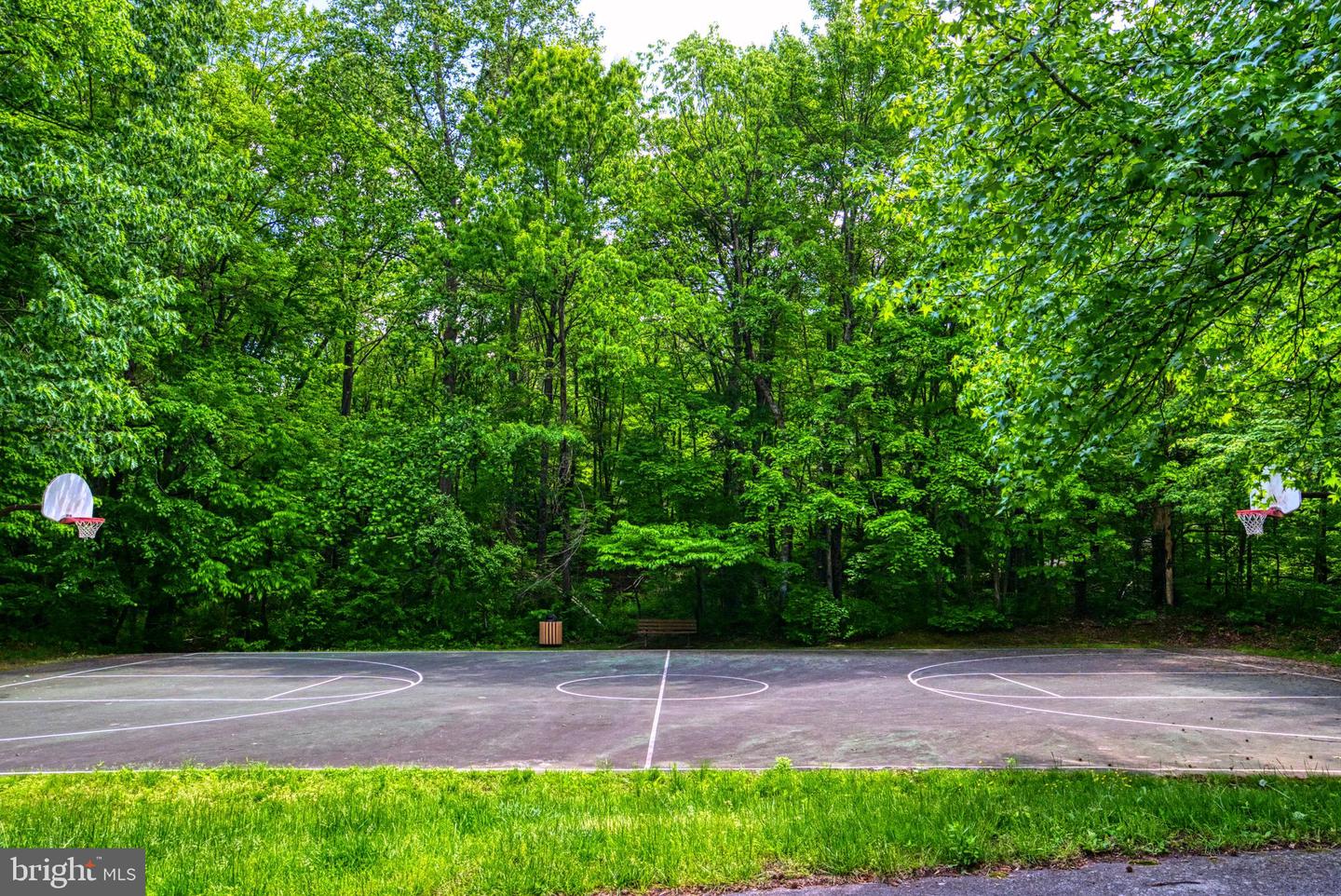 11717-D SUMMERCHASE CIR, RESTON, Virginia 20194, 1 Bedroom Bedrooms, 4 Rooms Rooms,1 BathroomBathrooms,Residential,For sale,11717-D SUMMERCHASE CIR,VAFX2238636 MLS # VAFX2238636
