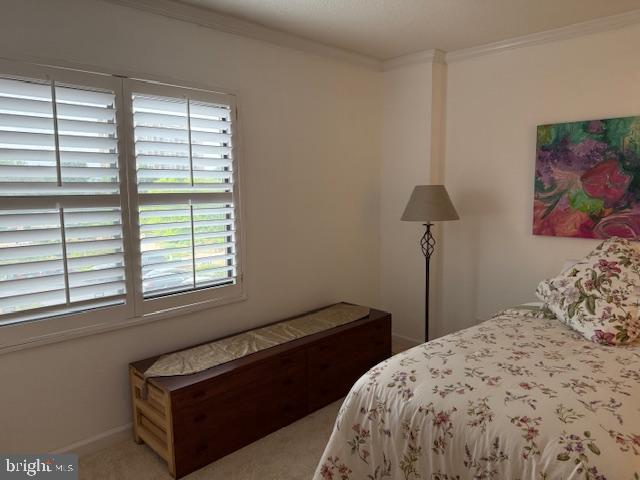 205 YOAKUM PKWY #319, ALEXANDRIA, Virginia 22304, 2 Bedrooms Bedrooms, 5 Rooms Rooms,2 BathroomsBathrooms,Residential,For sale,205 YOAKUM PKWY #319,VAAX2045044 MLS # VAAX2045044