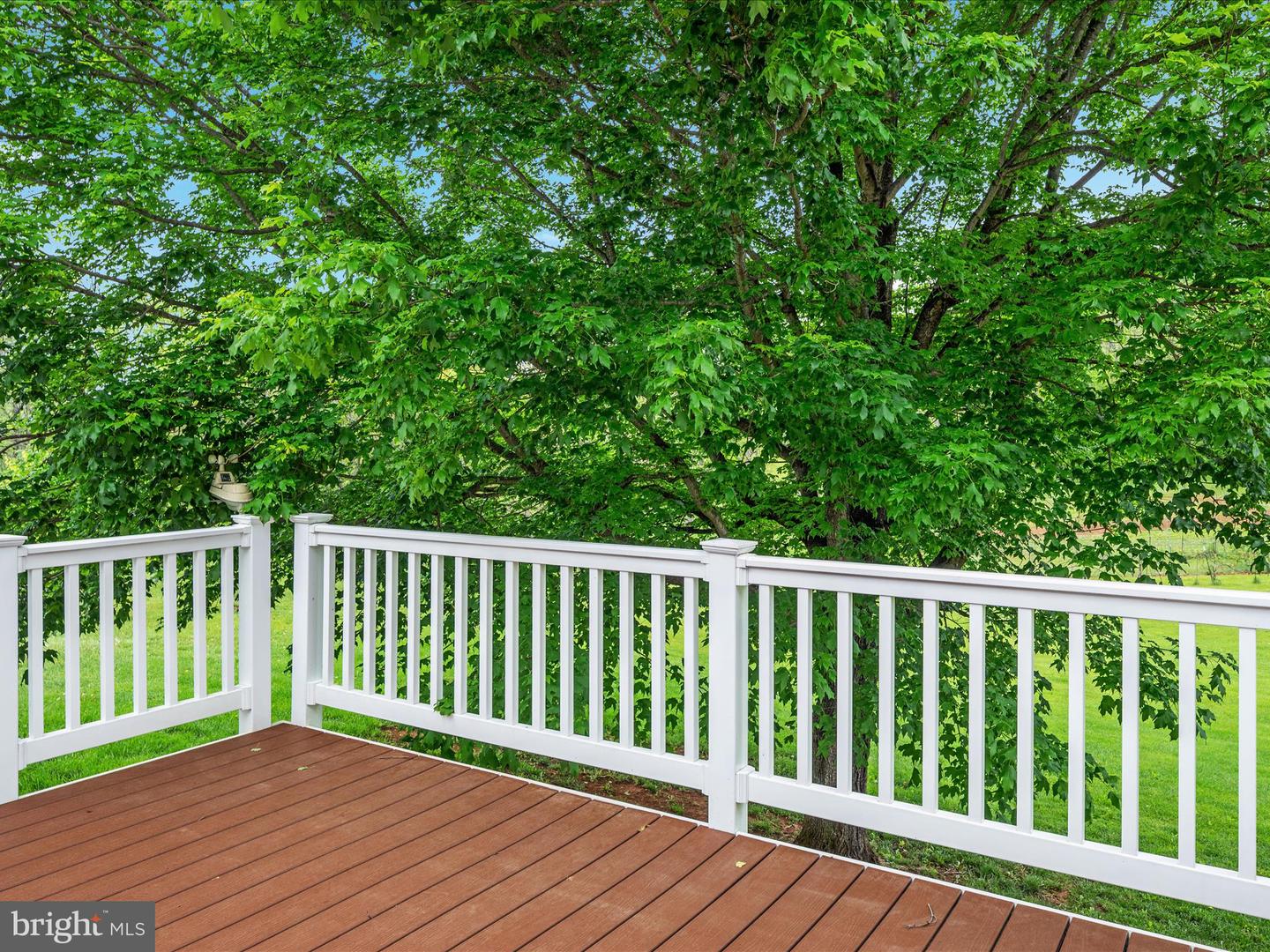 292 GREEN SPRING RD, WINCHESTER, Virginia 22603, 4 Bedrooms Bedrooms, ,4 BathroomsBathrooms,Residential,For sale,292 GREEN SPRING RD,VAFV2033996 MLS # VAFV2033996
