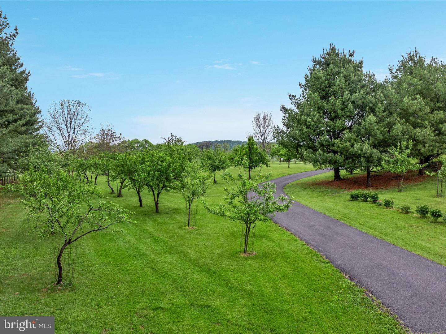 292 GREEN SPRING RD, WINCHESTER, Virginia 22603, 4 Bedrooms Bedrooms, ,4 BathroomsBathrooms,Residential,For sale,292 GREEN SPRING RD,VAFV2033996 MLS # VAFV2033996