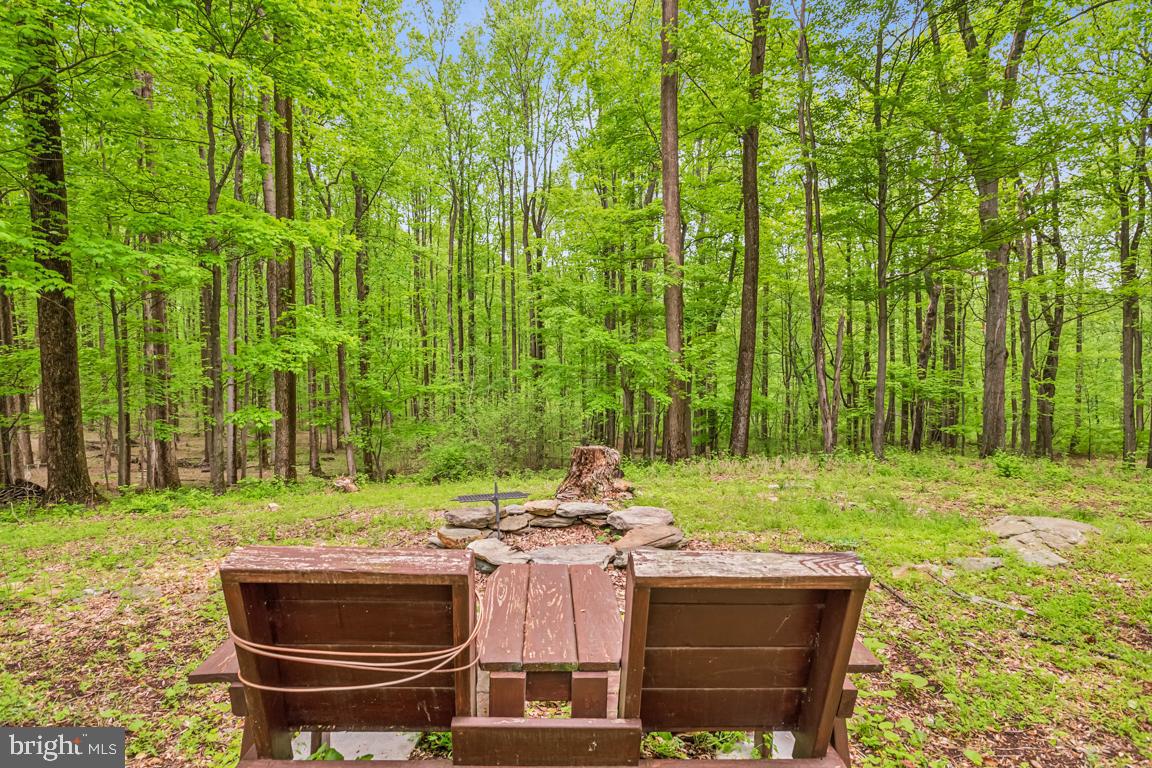 14607 SUMMIT VIEW LN, HILLSBORO, Virginia 20132, 2 Bedrooms Bedrooms, ,2 BathroomsBathrooms,Residential,For sale,14607 SUMMIT VIEW LN,VALO2095944 MLS # VALO2095944