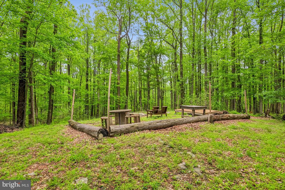 14607 SUMMIT VIEW LN, HILLSBORO, Virginia 20132, 2 Bedrooms Bedrooms, ,2 BathroomsBathrooms,Residential,For sale,14607 SUMMIT VIEW LN,VALO2095944 MLS # VALO2095944