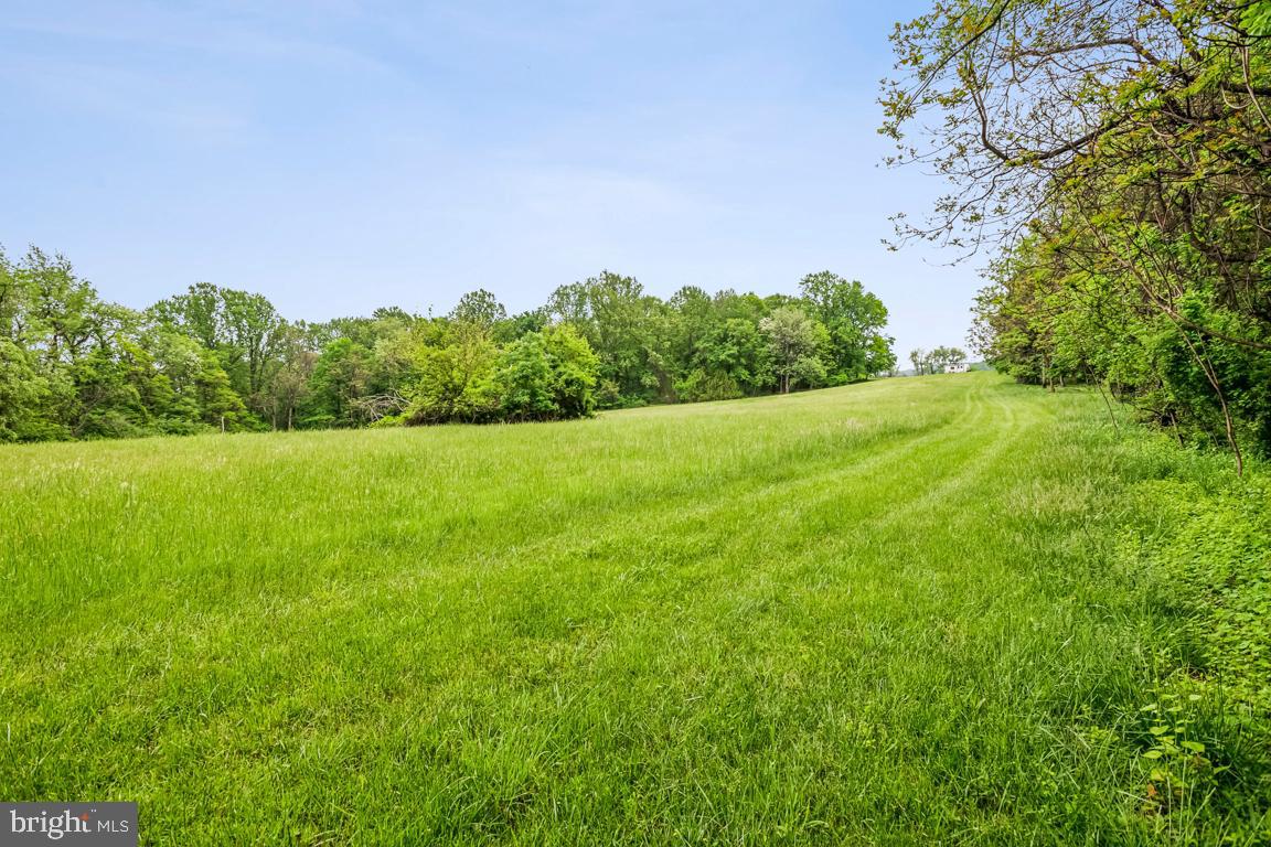 14607 SUMMIT VIEW LN, HILLSBORO, Virginia 20132, 2 Bedrooms Bedrooms, ,2 BathroomsBathrooms,Residential,For sale,14607 SUMMIT VIEW LN,VALO2095944 MLS # VALO2095944