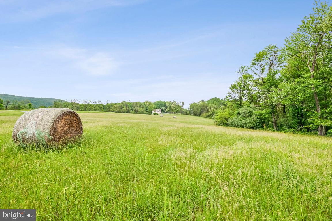 14607 SUMMIT VIEW LN, HILLSBORO, Virginia 20132, 2 Bedrooms Bedrooms, ,2 BathroomsBathrooms,Residential,For sale,14607 SUMMIT VIEW LN,VALO2095944 MLS # VALO2095944