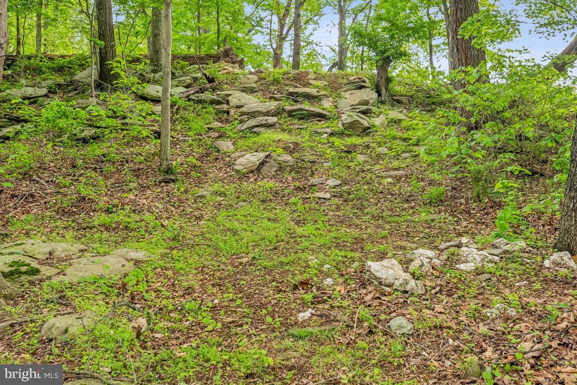 14607 SUMMIT VIEW LN, HILLSBORO, Virginia 20132, 2 Bedrooms Bedrooms, ,2 BathroomsBathrooms,Residential,For sale,14607 SUMMIT VIEW LN,VALO2095944 MLS # VALO2095944