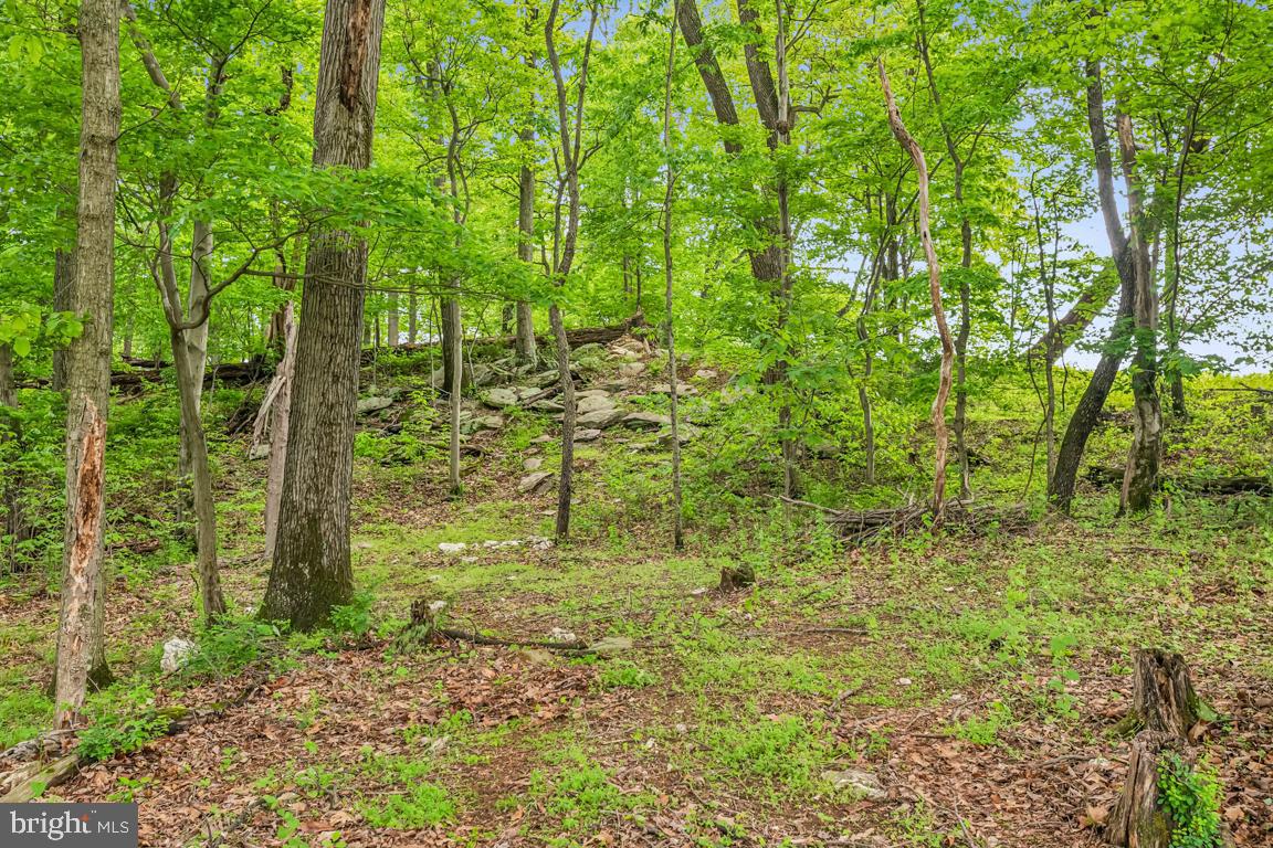 14607 SUMMIT VIEW LN, HILLSBORO, Virginia 20132, 2 Bedrooms Bedrooms, ,2 BathroomsBathrooms,Residential,For sale,14607 SUMMIT VIEW LN,VALO2095944 MLS # VALO2095944