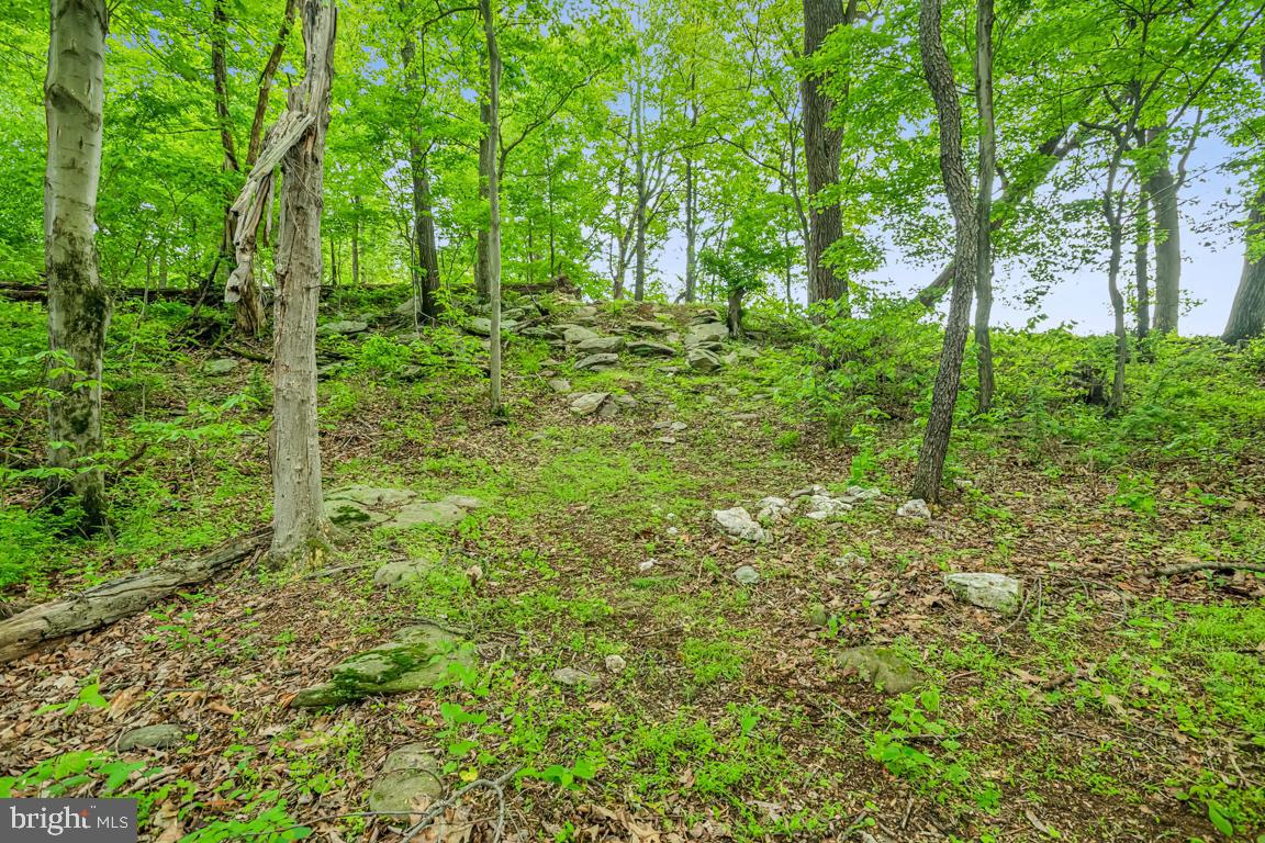 14607 SUMMIT VIEW LN, HILLSBORO, Virginia 20132, 2 Bedrooms Bedrooms, ,2 BathroomsBathrooms,Residential,For sale,14607 SUMMIT VIEW LN,VALO2095944 MLS # VALO2095944