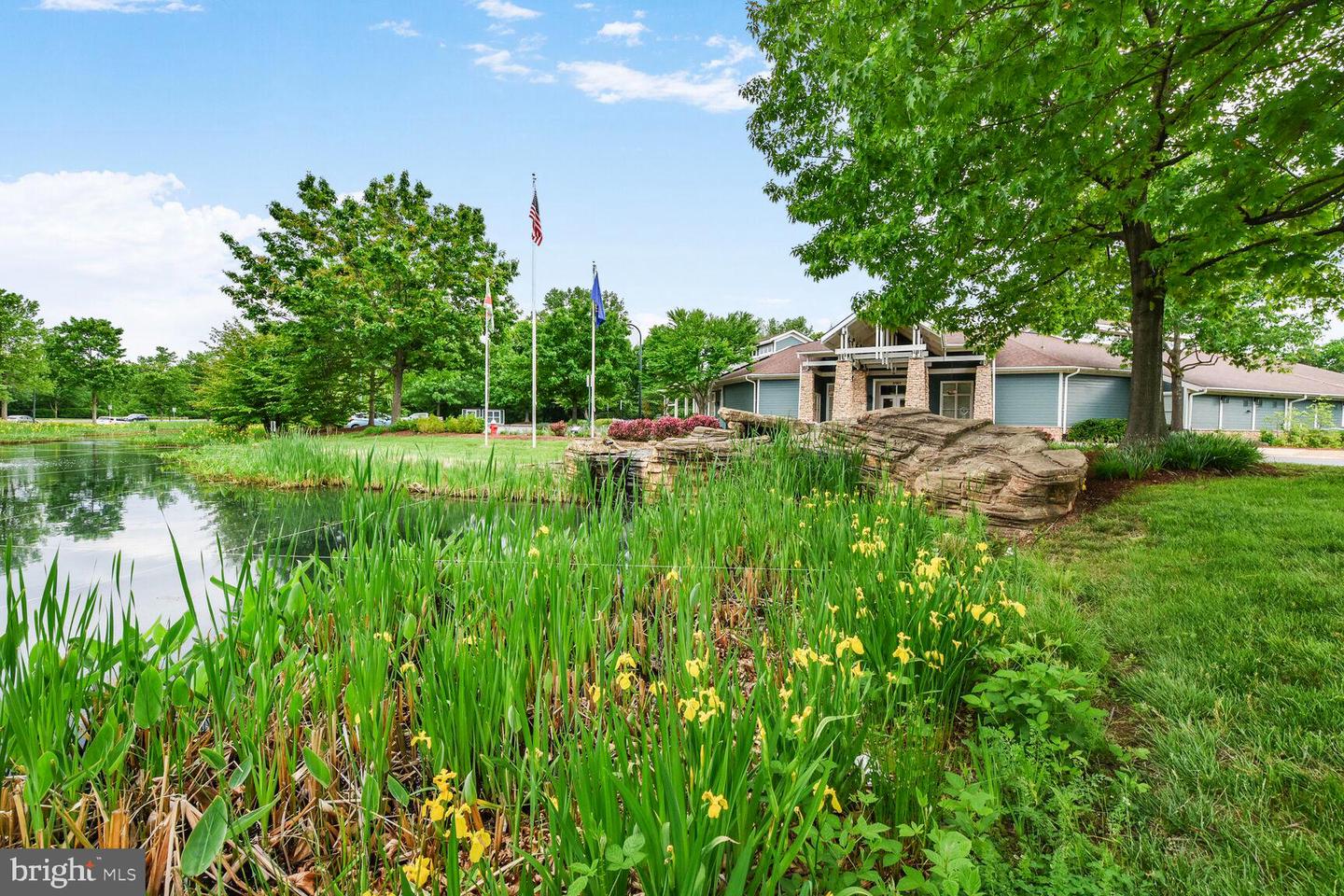 21707 FRAME SQ, BROADLANDS, Virginia 20148, 3 Bedrooms Bedrooms, ,2 BathroomsBathrooms,Residential,For sale,21707 FRAME SQ,VALO2095922 MLS # VALO2095922