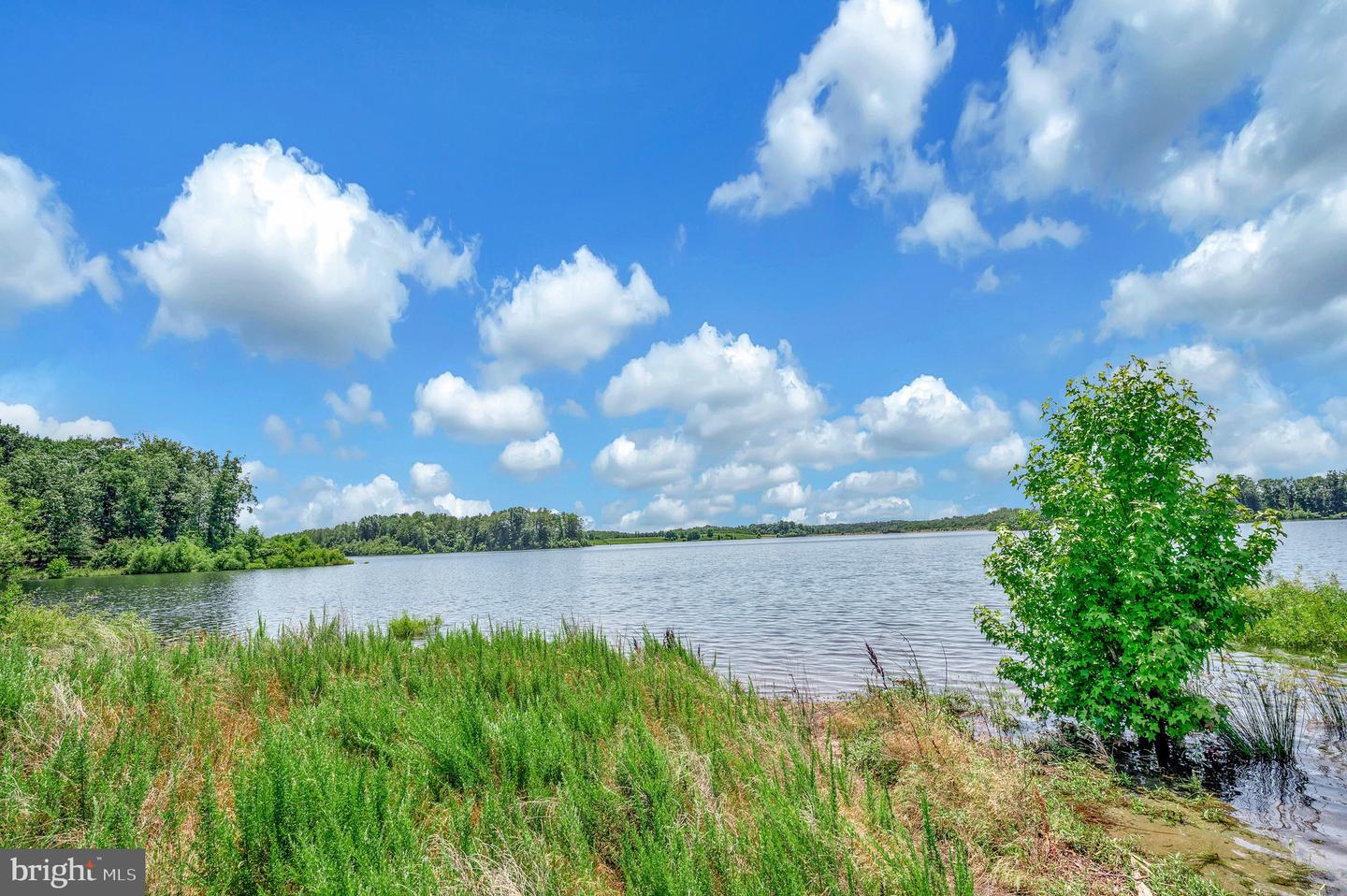 137 ROCKY RUN RD, FREDERICKSBURG, Virginia 22406, ,Land,For sale,137 ROCKY RUN RD,VAST2035246 MLS # VAST2035246