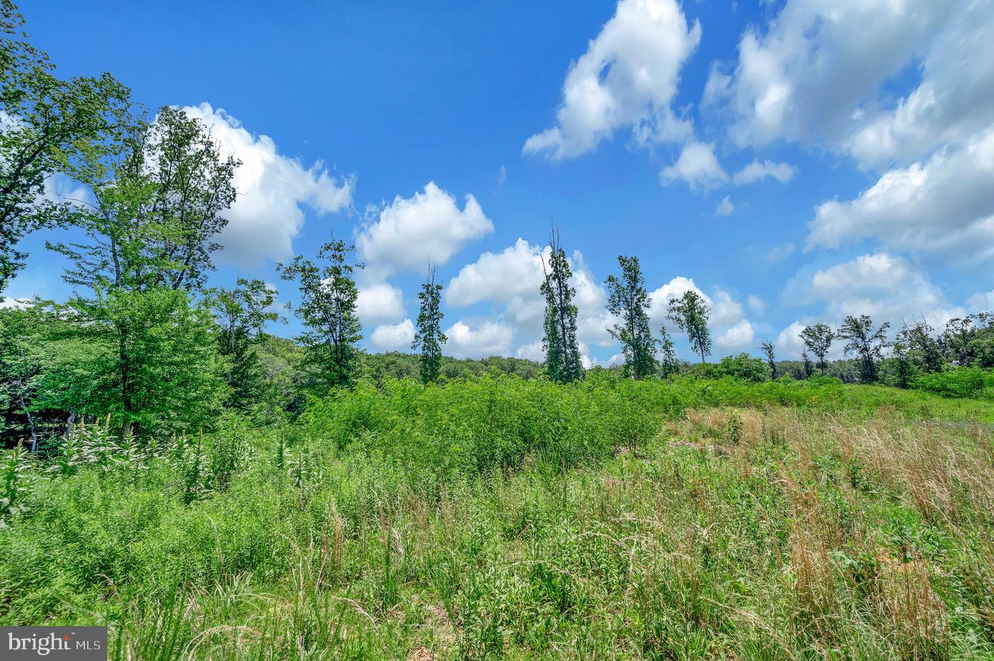 137 ROCKY RUN RD, FREDERICKSBURG, Virginia 22406, ,Land,For sale,137 ROCKY RUN RD,VAST2035246 MLS # VAST2035246