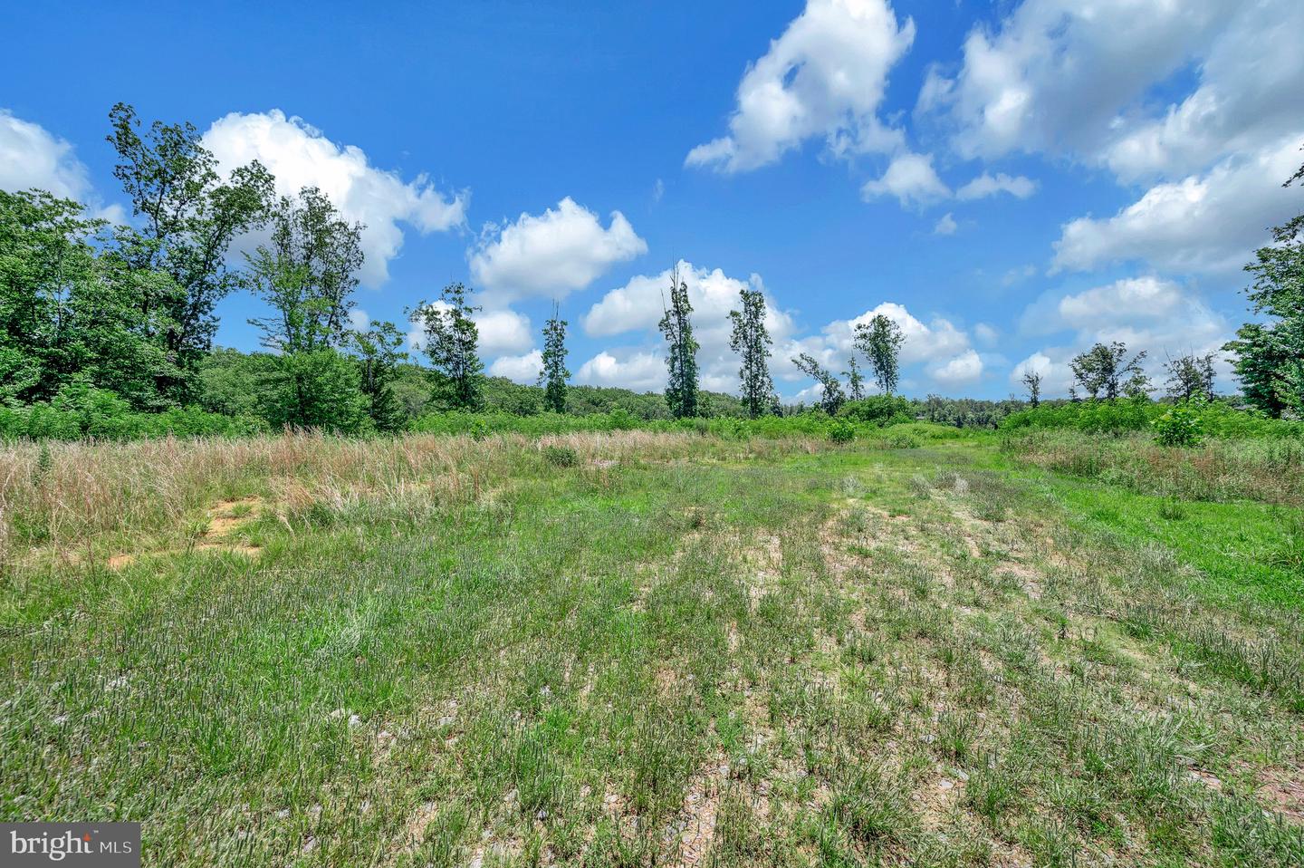137 ROCKY RUN RD, FREDERICKSBURG, Virginia 22406, ,Land,For sale,137 ROCKY RUN RD,VAST2035246 MLS # VAST2035246