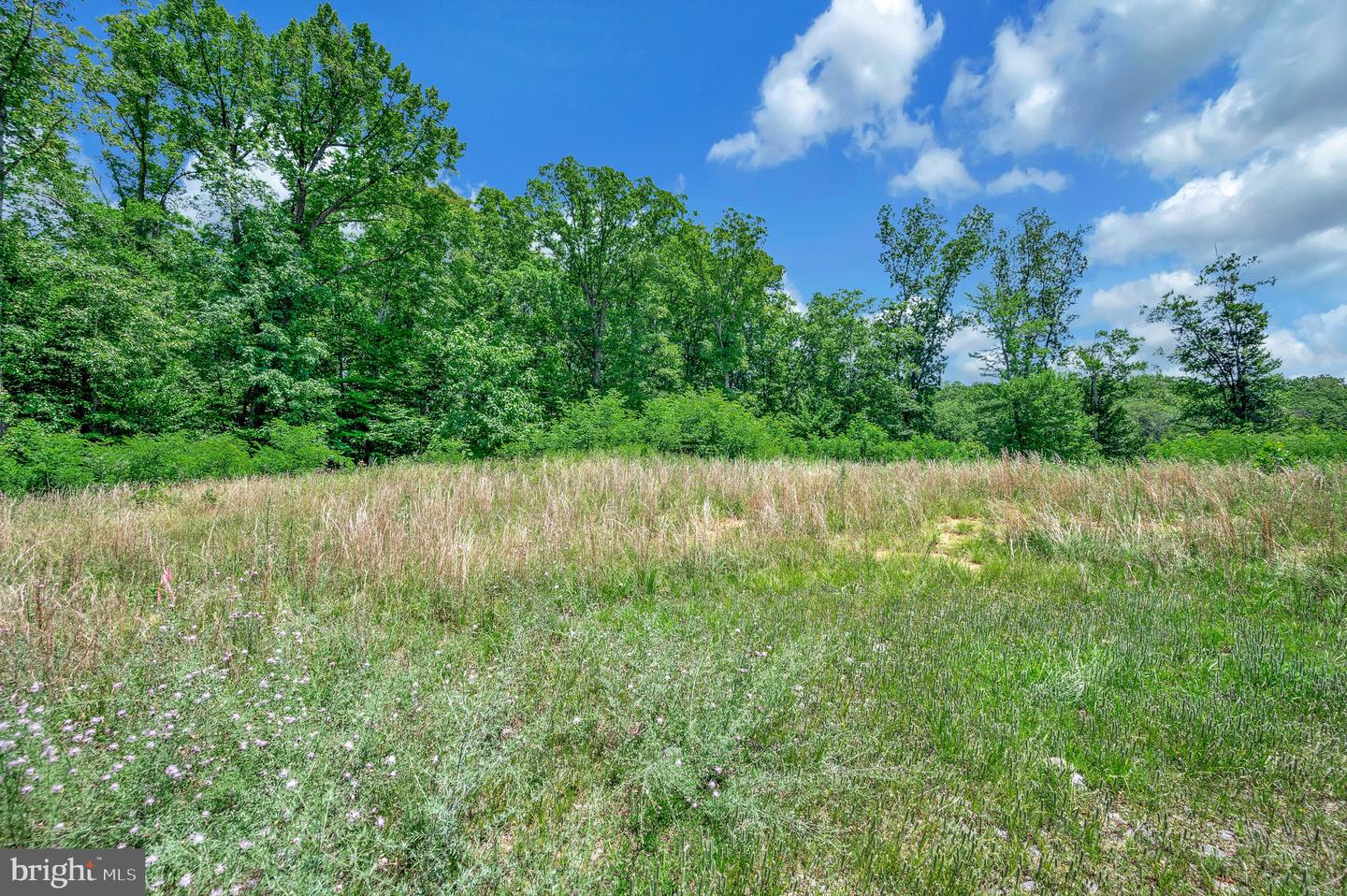 137 ROCKY RUN RD, FREDERICKSBURG, Virginia 22406, ,Land,For sale,137 ROCKY RUN RD,VAST2035246 MLS # VAST2035246