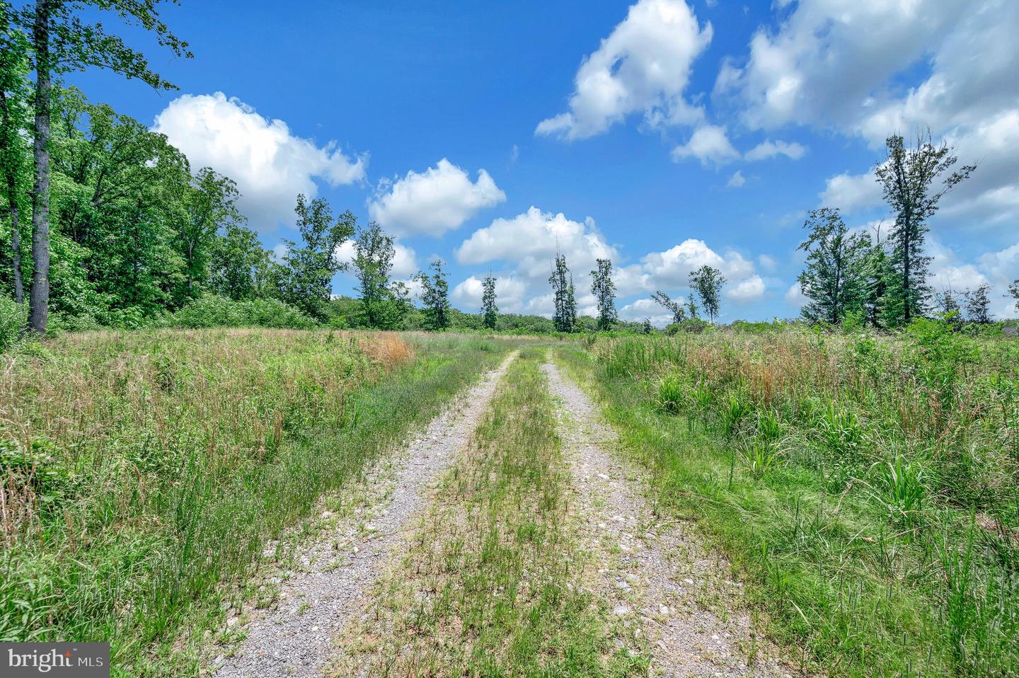 137 ROCKY RUN RD, FREDERICKSBURG, Virginia 22406, ,Land,For sale,137 ROCKY RUN RD,VAST2035246 MLS # VAST2035246