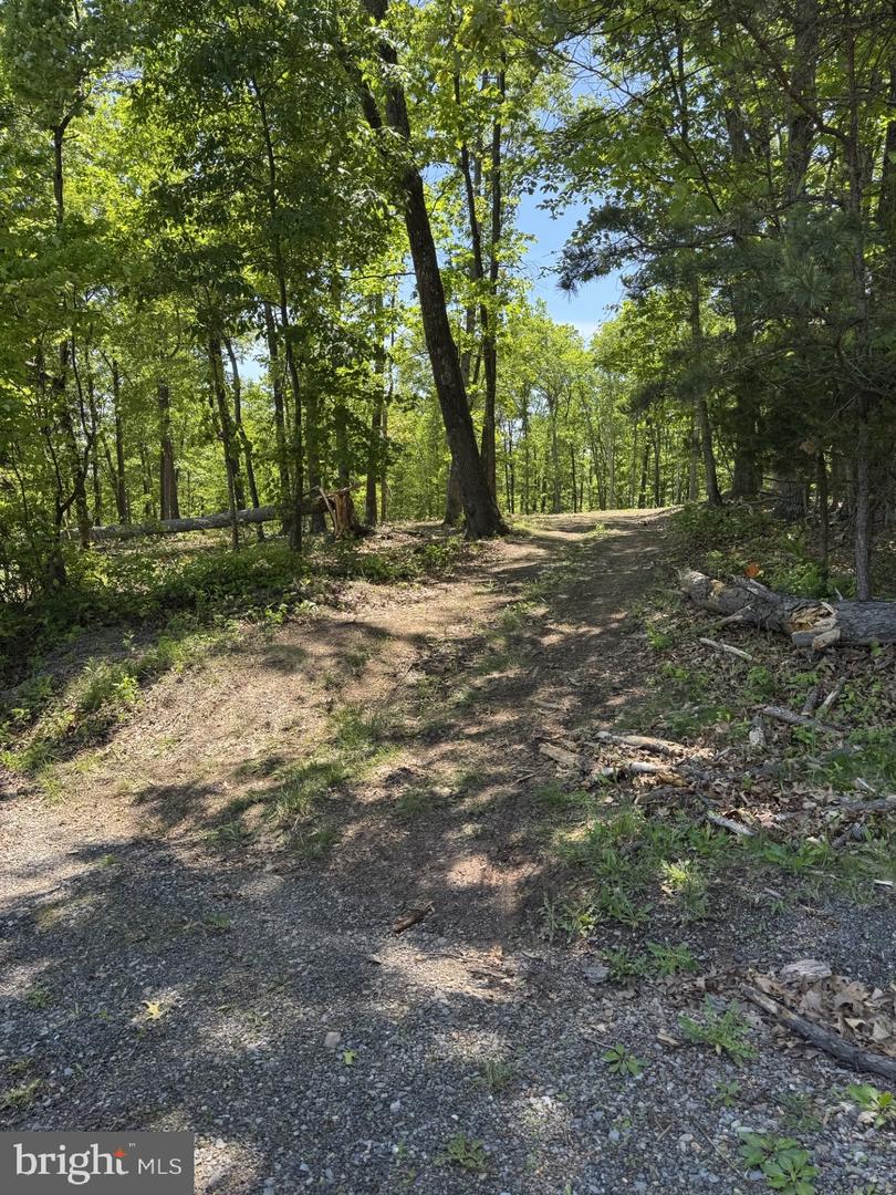 LOT 3 RIDGEVIEW RD, GORE, Virginia 22637, ,Land,For sale,LOT 3 RIDGEVIEW RD,VAFV2034080 MLS # VAFV2034080