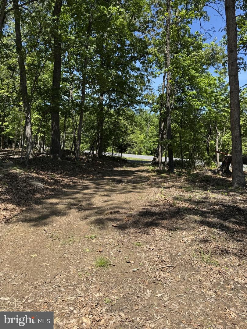 LOT 3 RIDGEVIEW RD, GORE, Virginia 22637, ,Land,For sale,LOT 3 RIDGEVIEW RD,VAFV2034080 MLS # VAFV2034080
