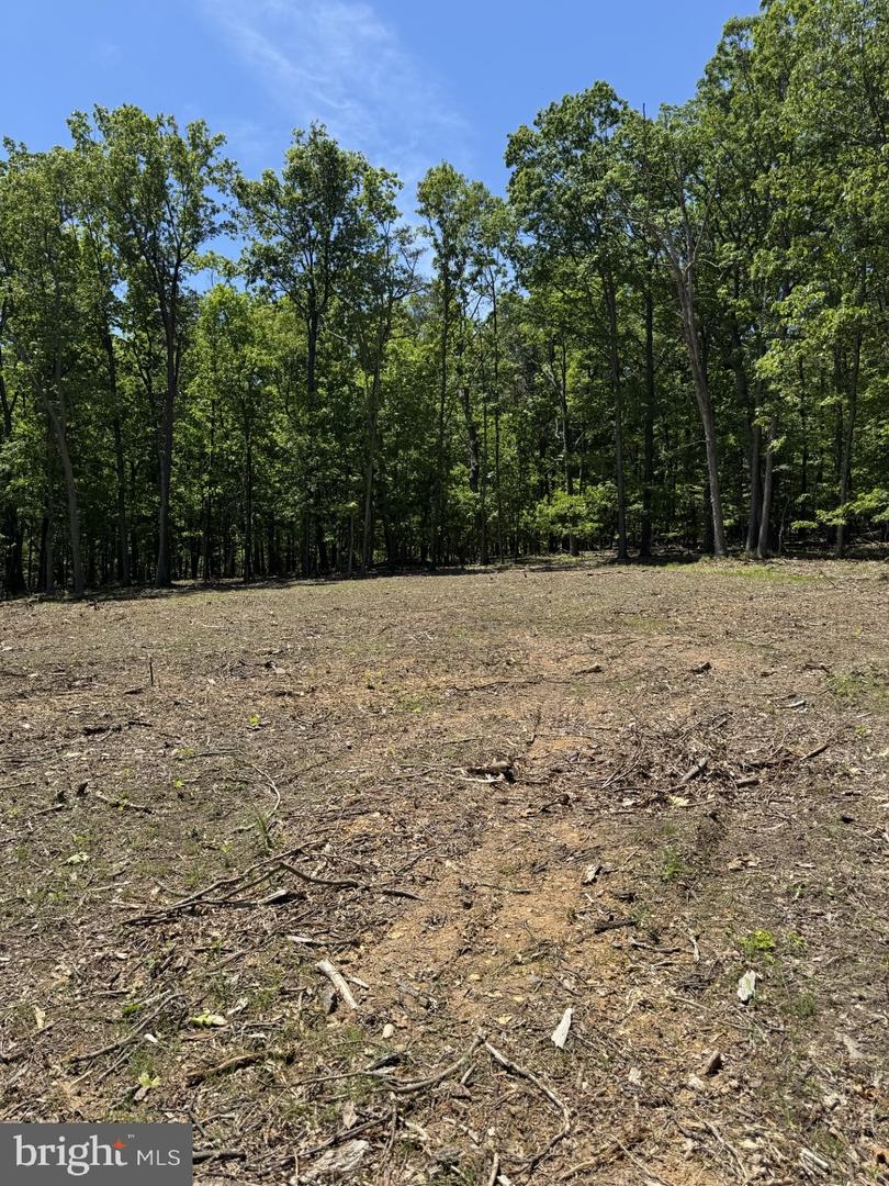 LOT 3 RIDGEVIEW RD, GORE, Virginia 22637, ,Land,For sale,LOT 3 RIDGEVIEW RD,VAFV2034080 MLS # VAFV2034080