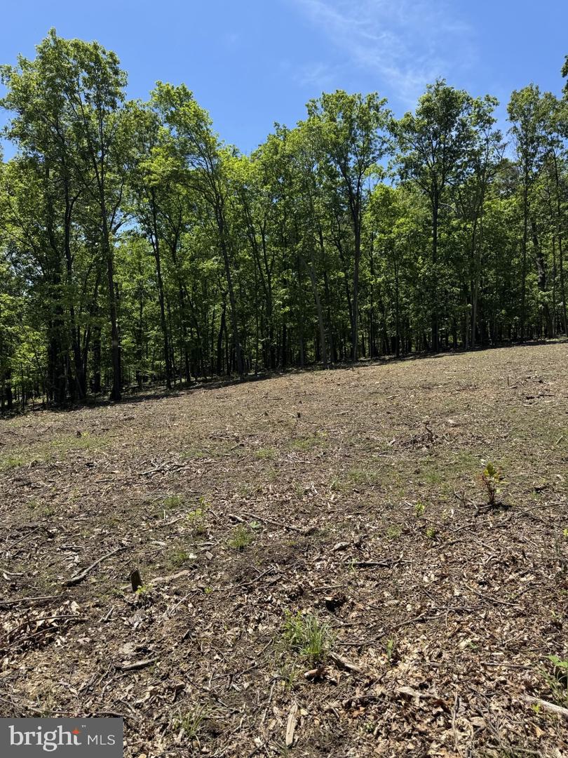 LOT 3 RIDGEVIEW RD, GORE, Virginia 22637, ,Land,For sale,LOT 3 RIDGEVIEW RD,VAFV2034080 MLS # VAFV2034080