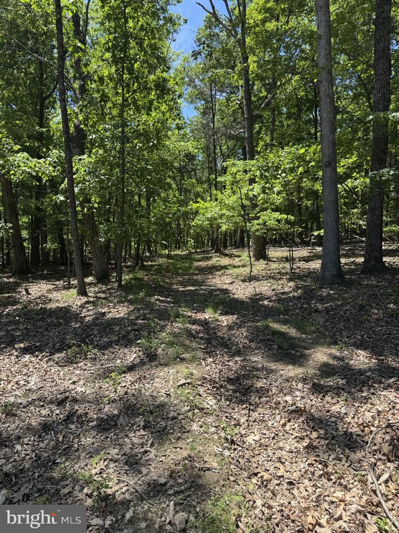 LOT 3 RIDGEVIEW RD, GORE, Virginia 22637, ,Land,For sale,LOT 3 RIDGEVIEW RD,VAFV2034080 MLS # VAFV2034080