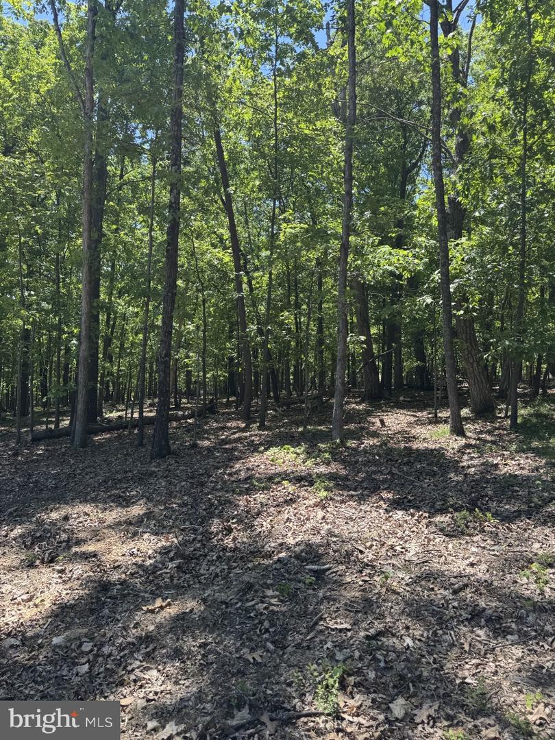 LOT 3 RIDGEVIEW RD, GORE, Virginia 22637, ,Land,For sale,LOT 3 RIDGEVIEW RD,VAFV2034080 MLS # VAFV2034080